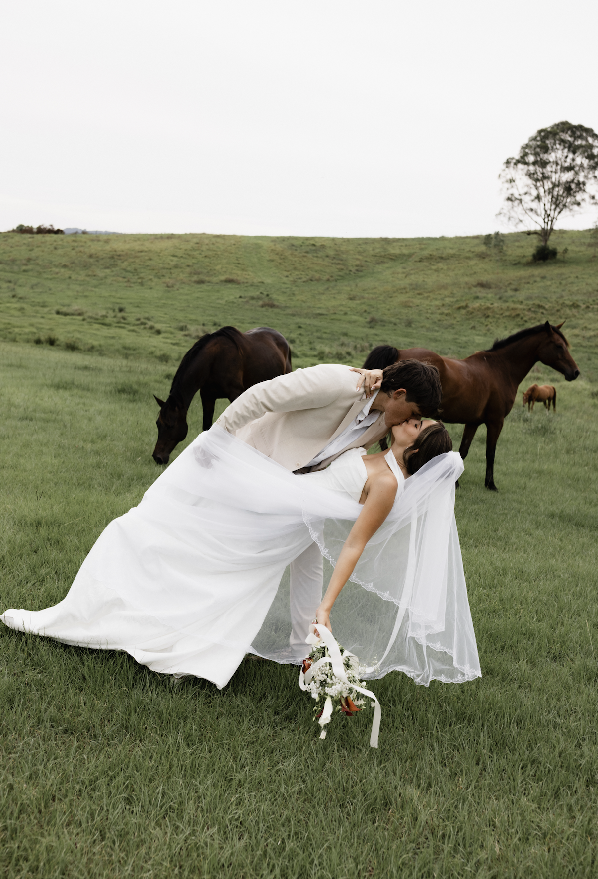 A newlywed couple sharing a kiss in a grassy field with horses grazing in the background.