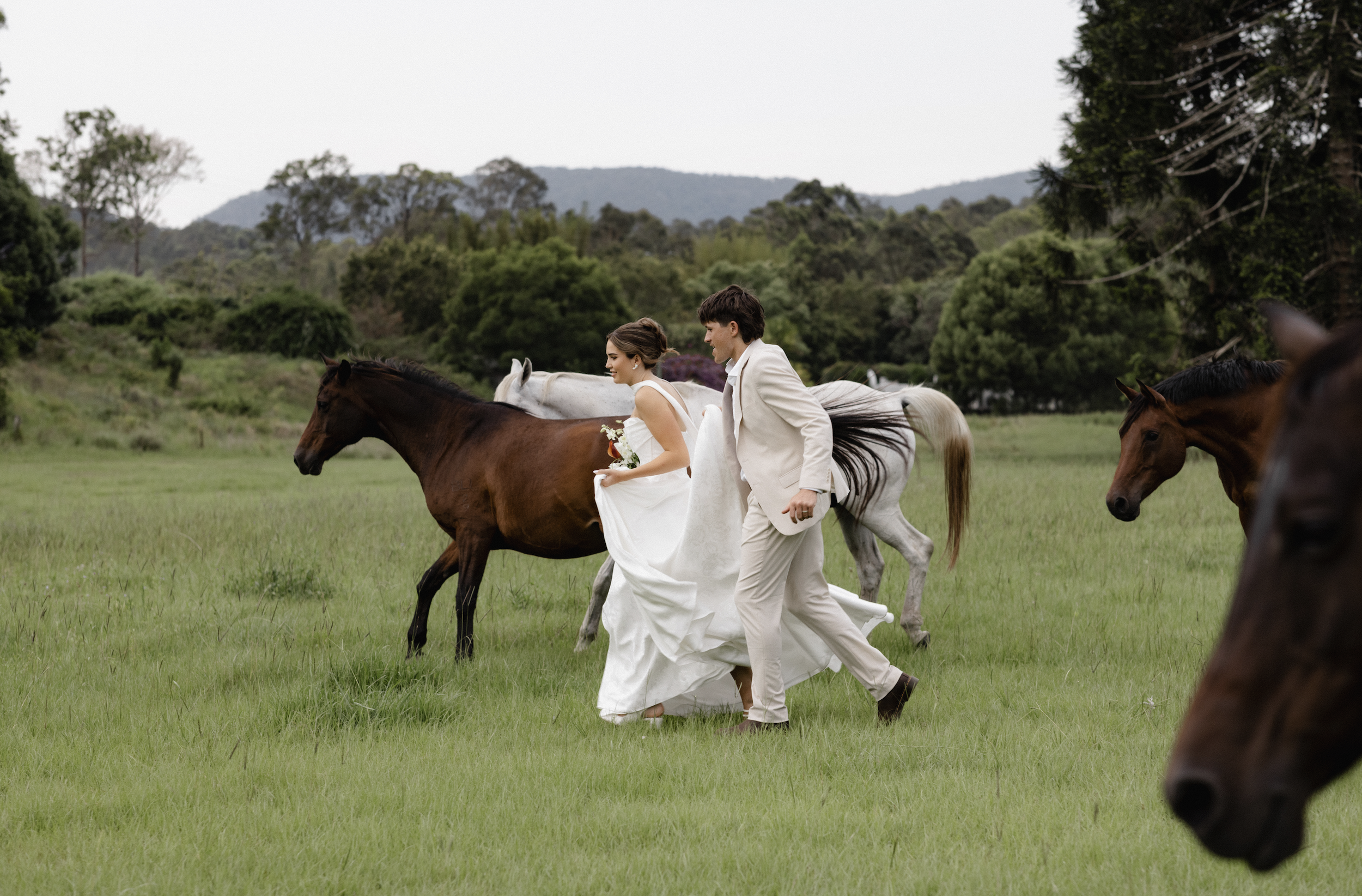 A bride and groom in wedding attire walk through a grassy field with horses, surrounded by trees and hills.