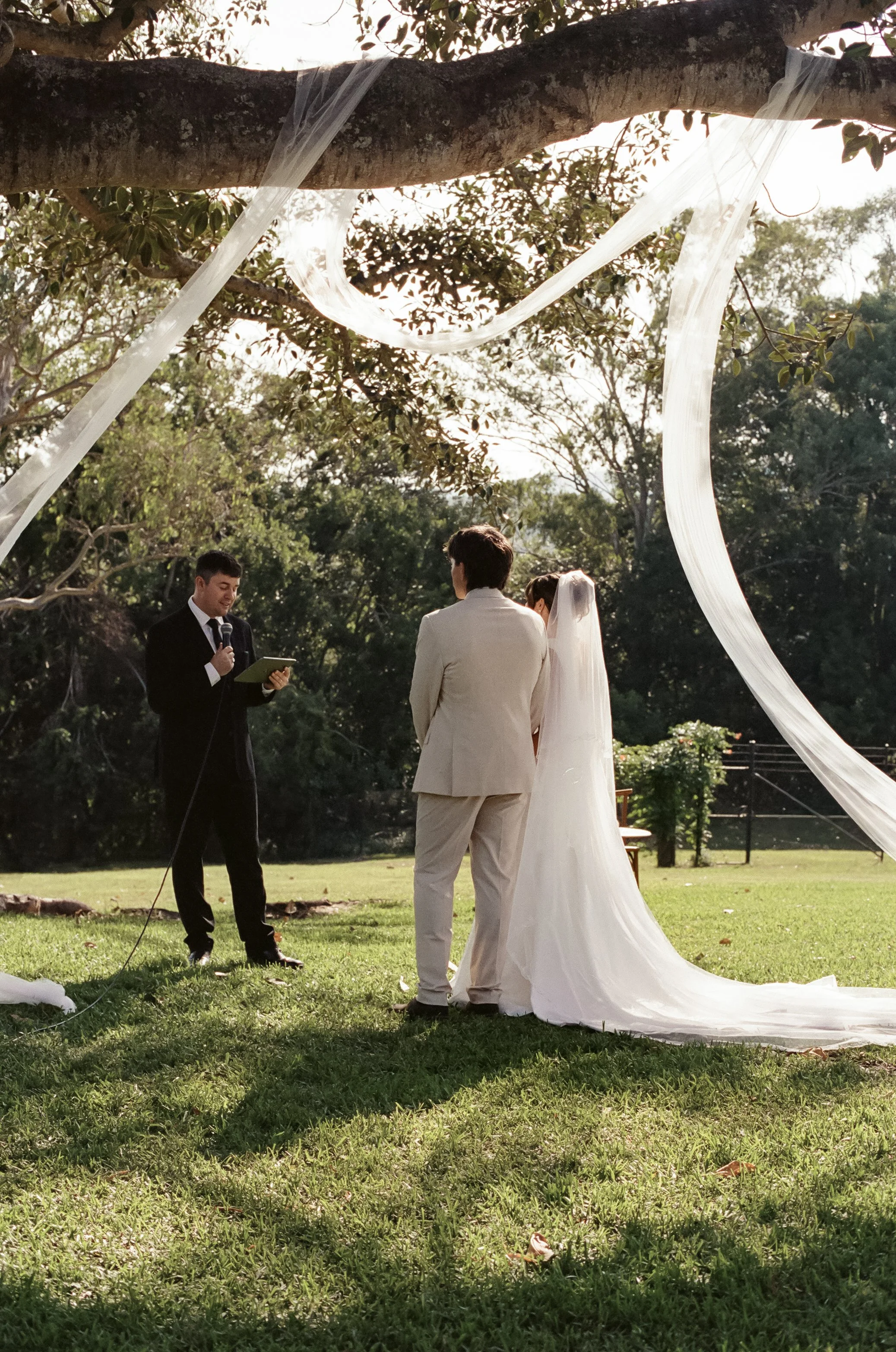 A wedding ceremony outdoors with a bride and groom standing together, facing a man reading from a book, in front of a tree decorated with white fabric.