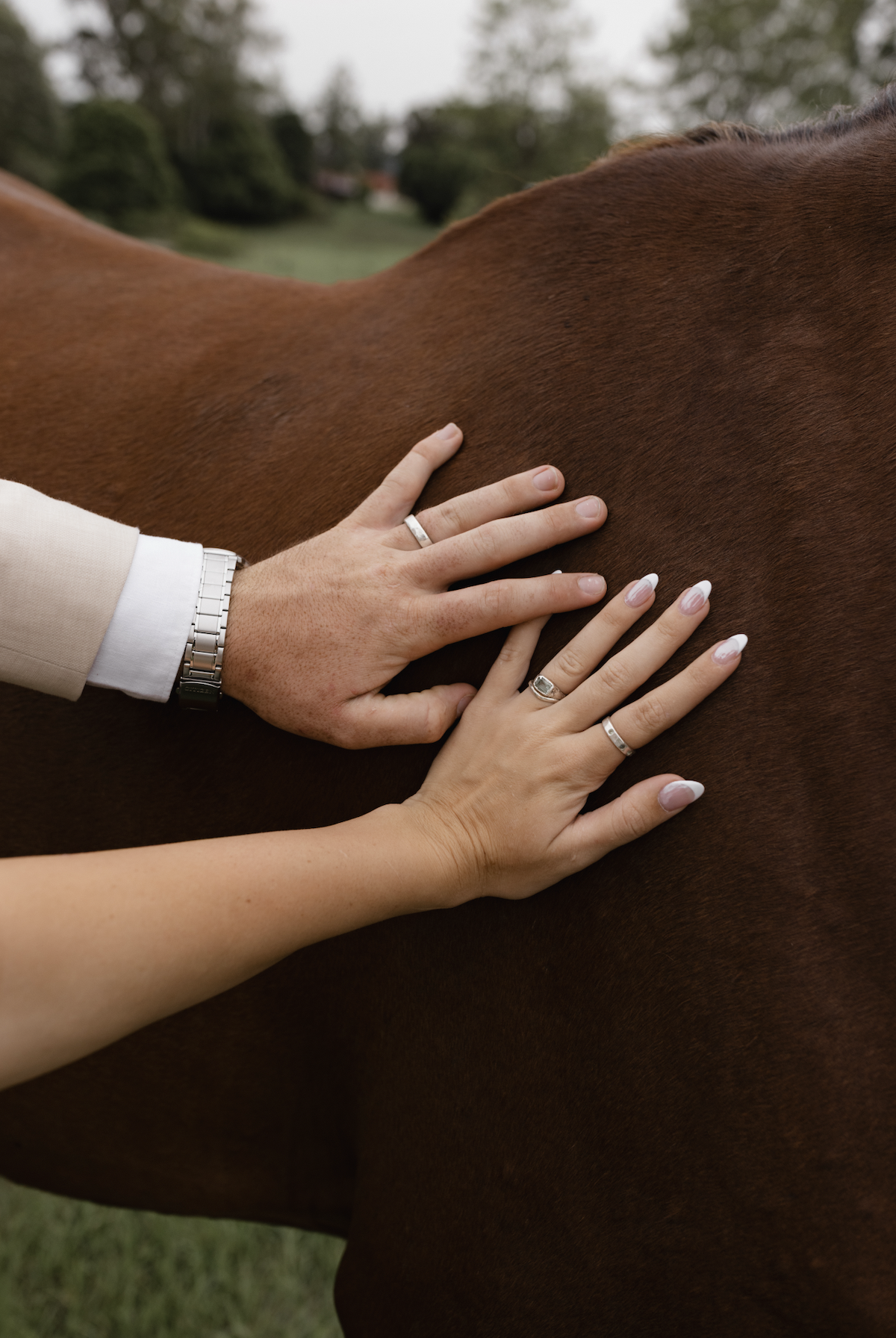 Two hands, one male and one female, touching a brown horse's side, both wearing wedding bands, outdoors with trees in the background.
