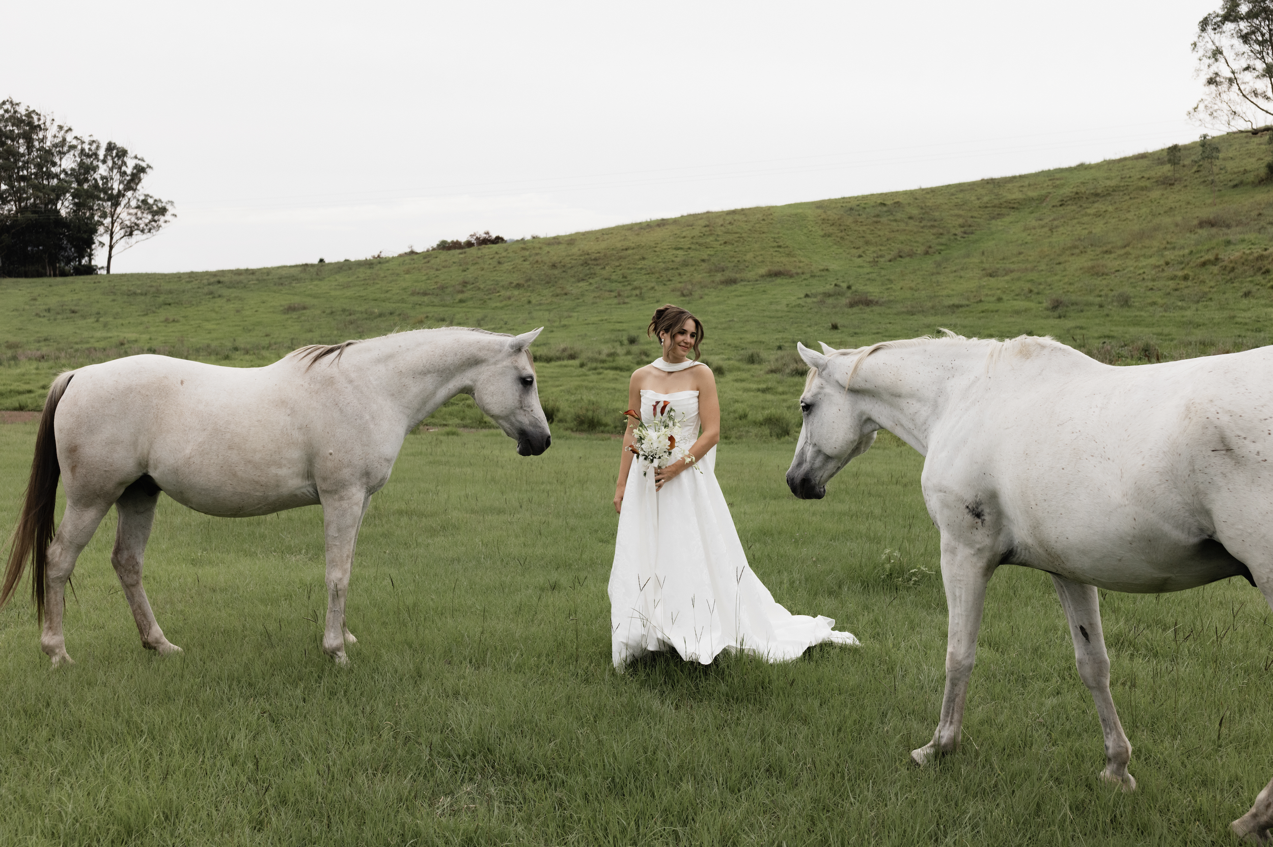 A woman in a white wedding dress holding a bouquet stands between two white horses in a green field with rolling hills in the background.