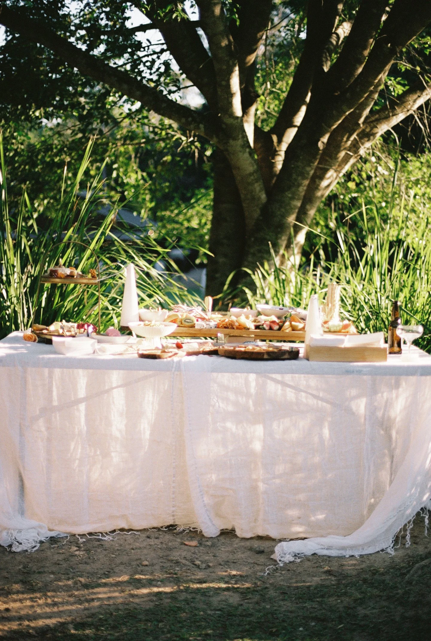 Abbey&Shannon_FullGallery_Film-47.jpg