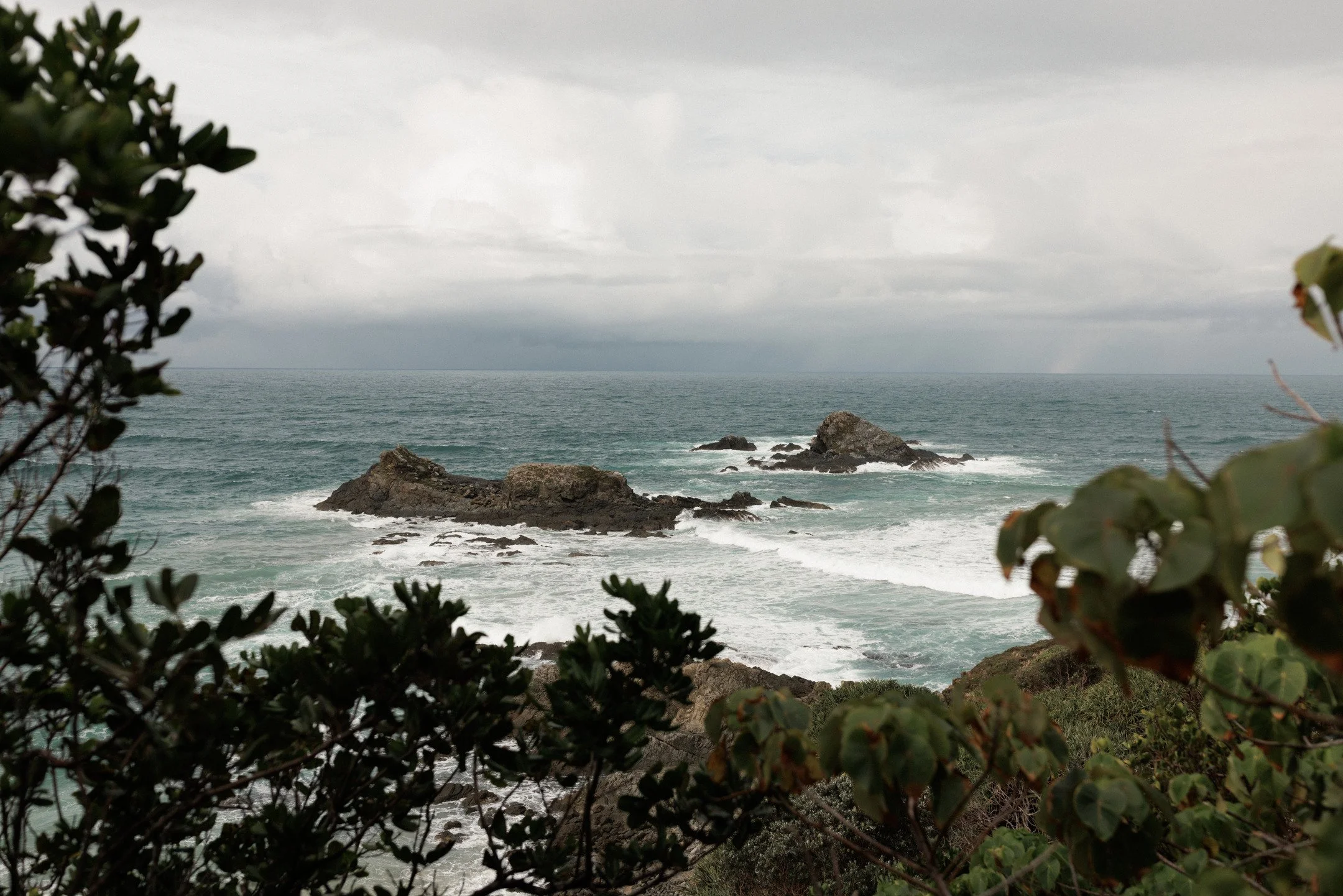 A view of the ocean with rocks and a cloudy sky, framed by plants in the foreground.