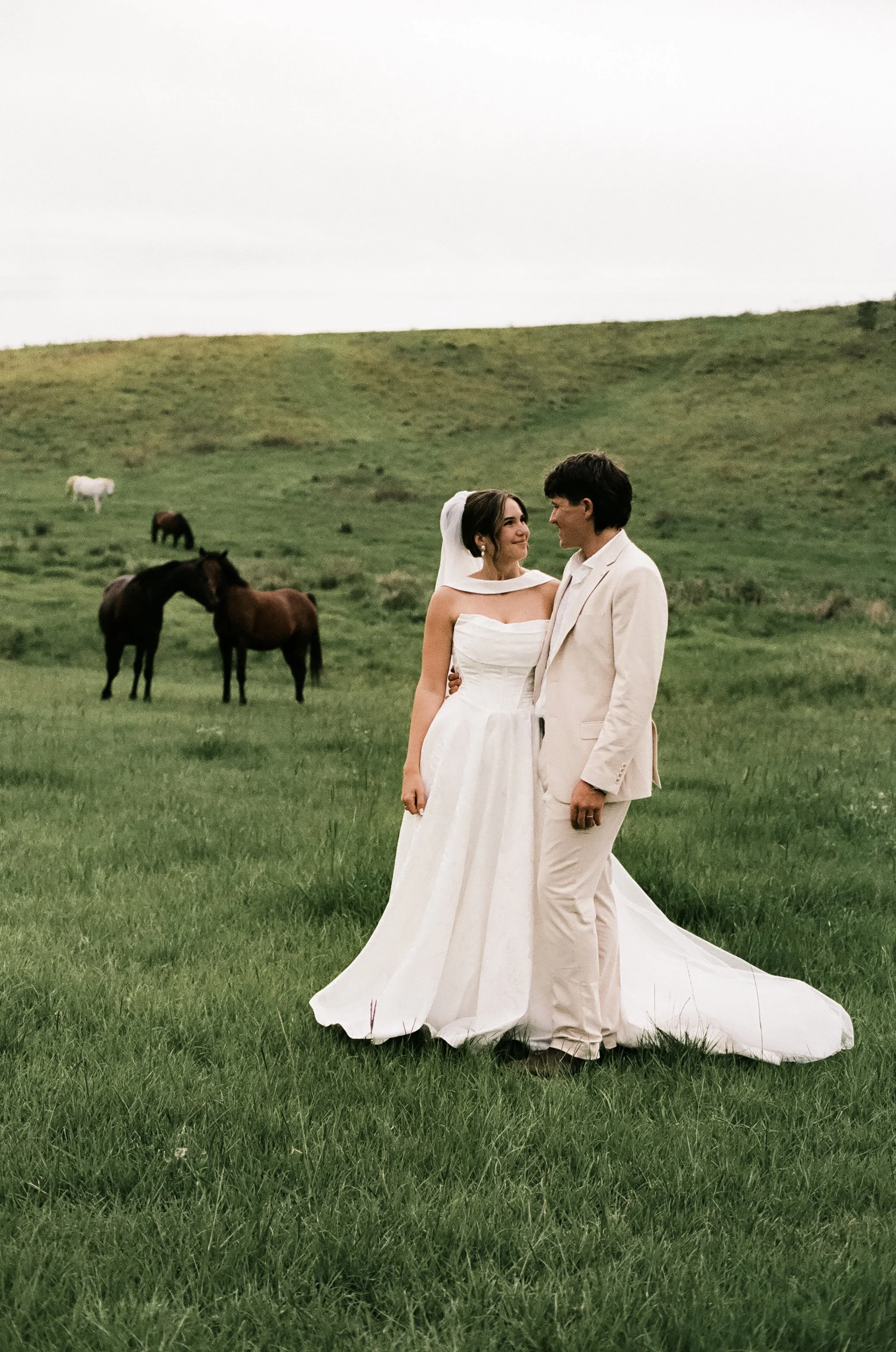 A bride and groom standing on grass in a field, looking at each other, with horses grazing in the background.
