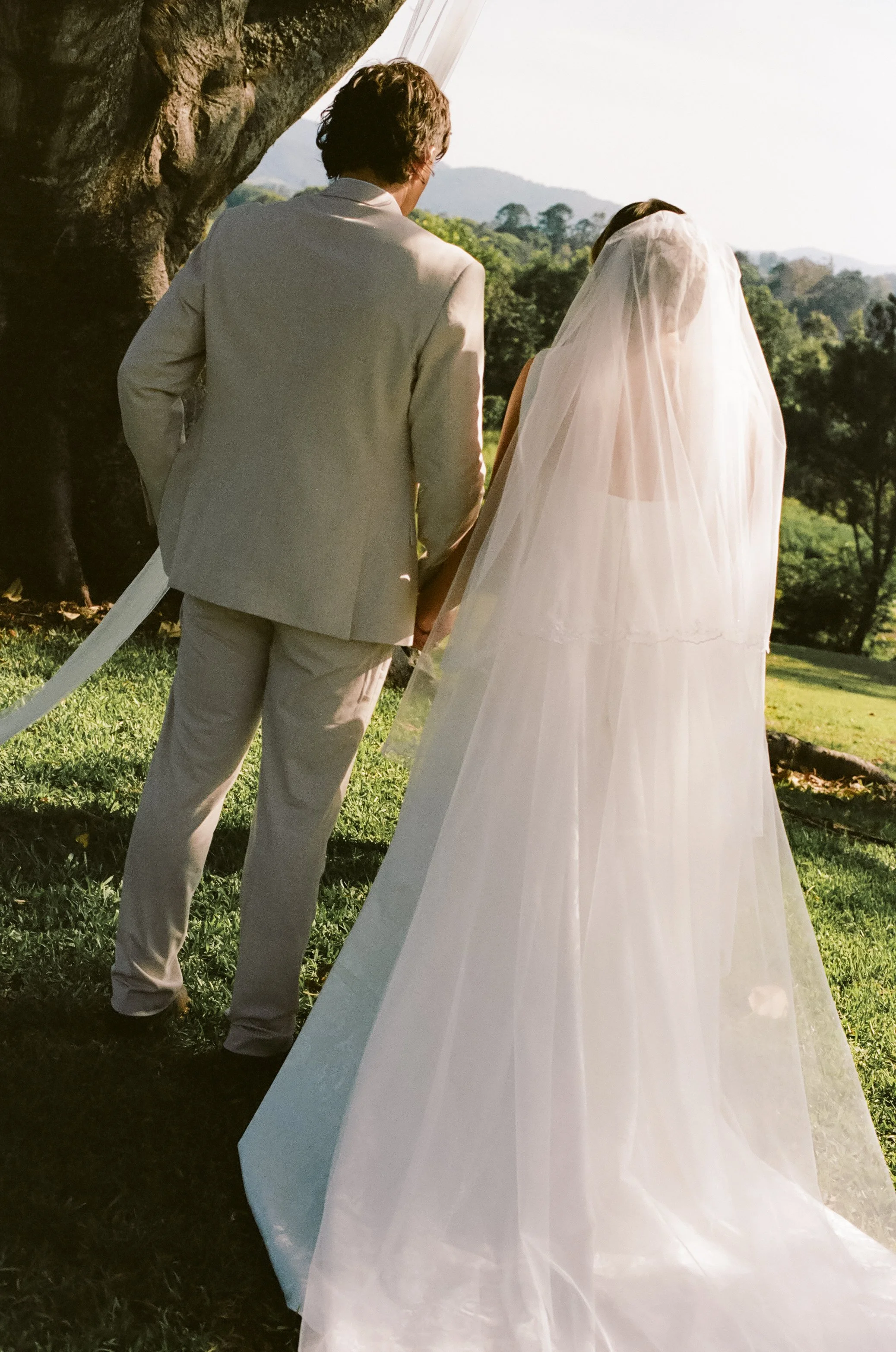 A bride and groom standing outdoors near a large tree, holding hands, with scenic greenery and mountains in the background during a wedding ceremony.