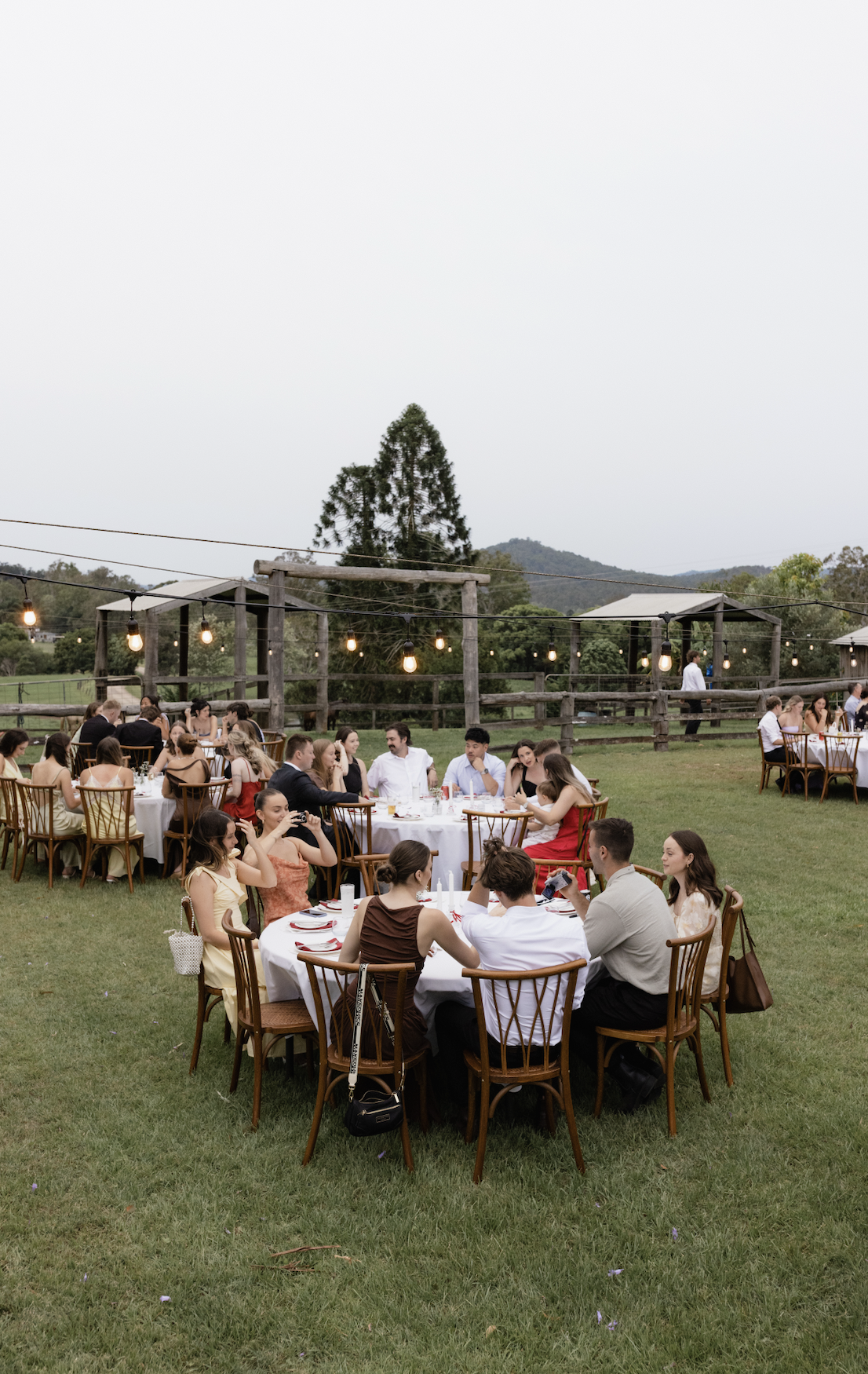 Outdoor wedding reception with round tables, white tablecloths, wooden chairs, string lights, and guests seated on a grassy field with trees and mountains in the background.