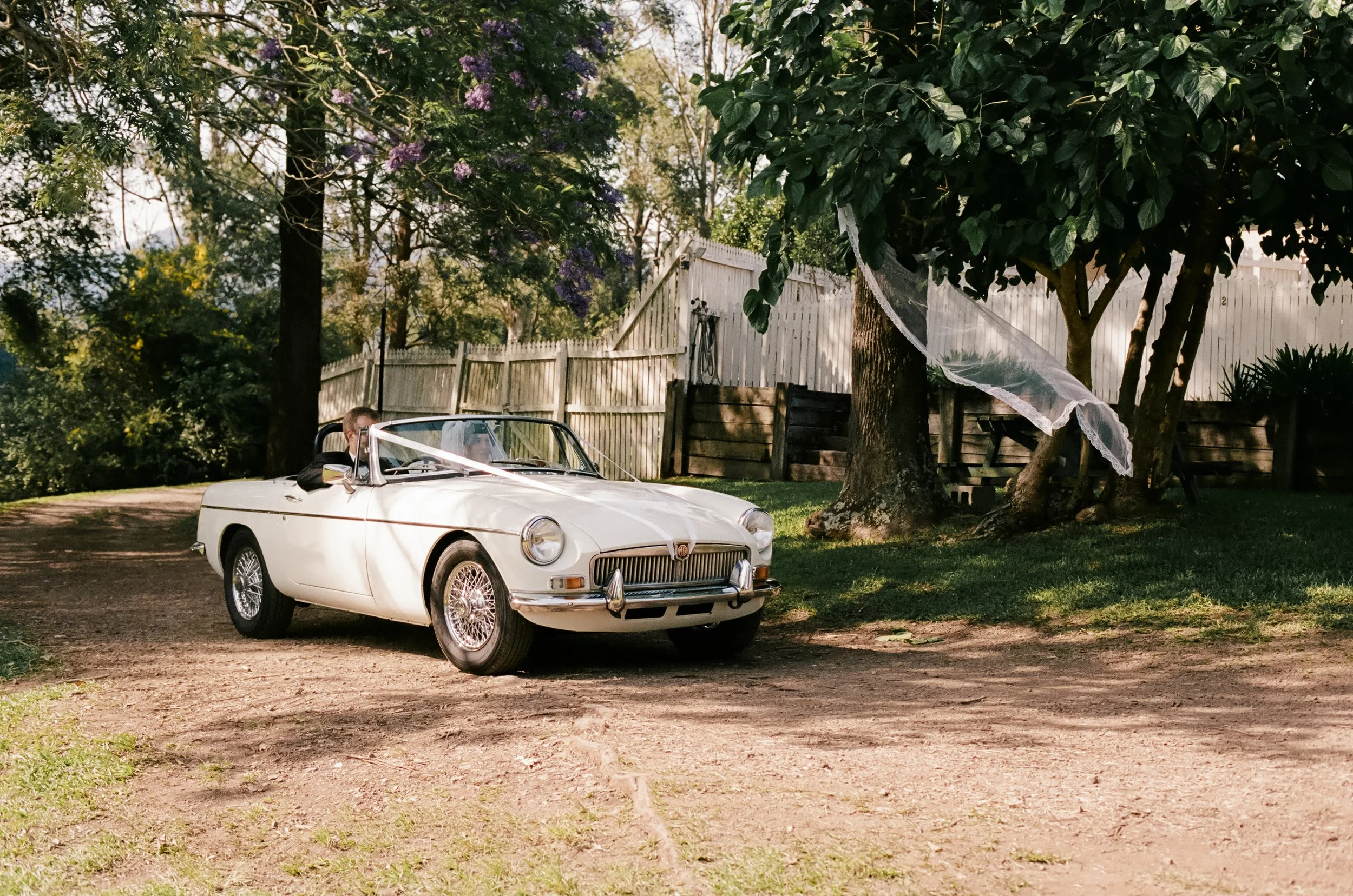 A vintage white convertible car with a couple inside, one of whom is wearing a wedding veil, parked on a dirt path in a backyard with trees, purple flowers, a wooden fence, and a tree with a white fabric decoration.