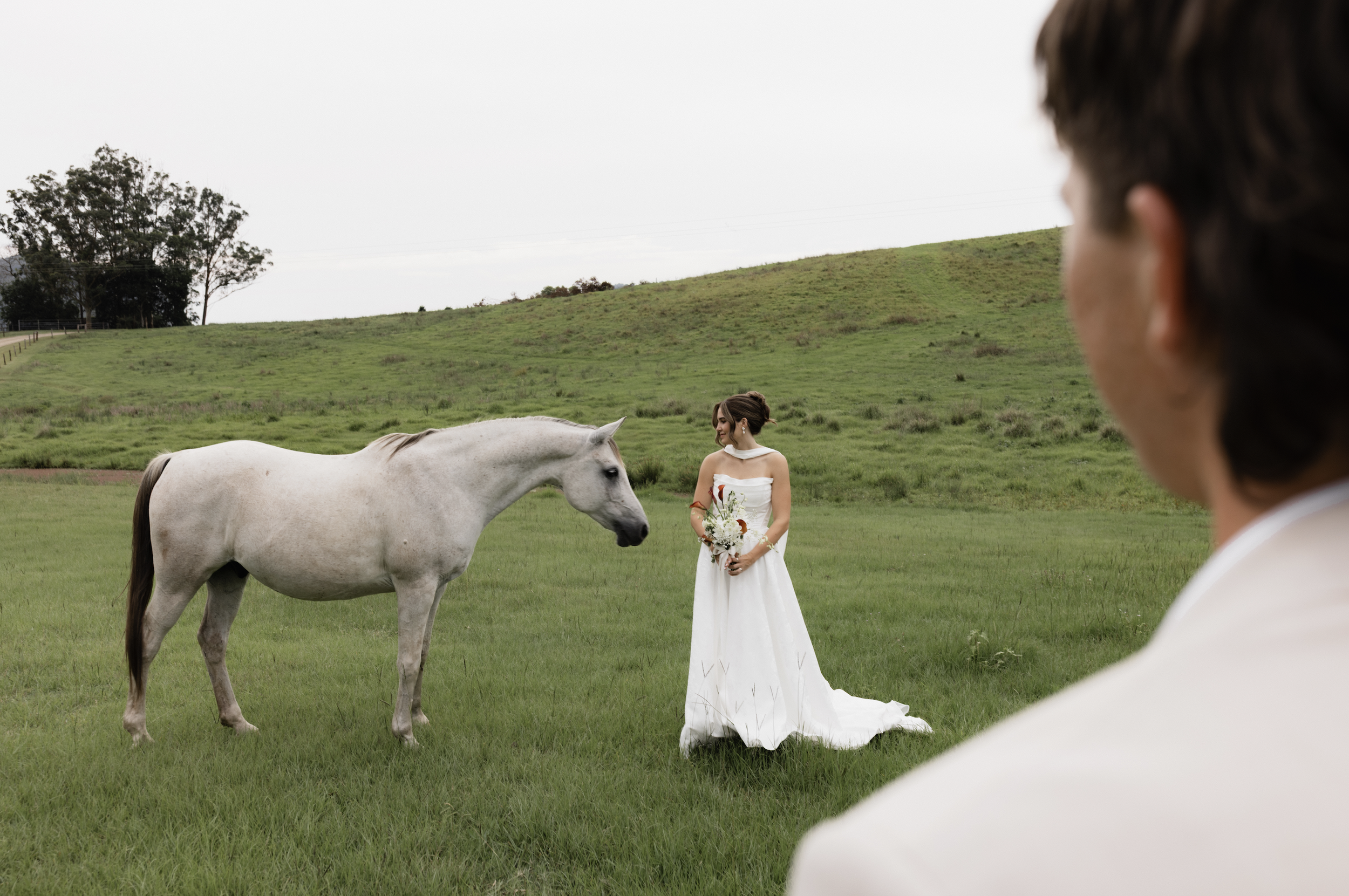 A bride in a white wedding dress holding a bouquet, standing on grass in a green field, looking at a white horse, with a man in the foreground watching the scene.