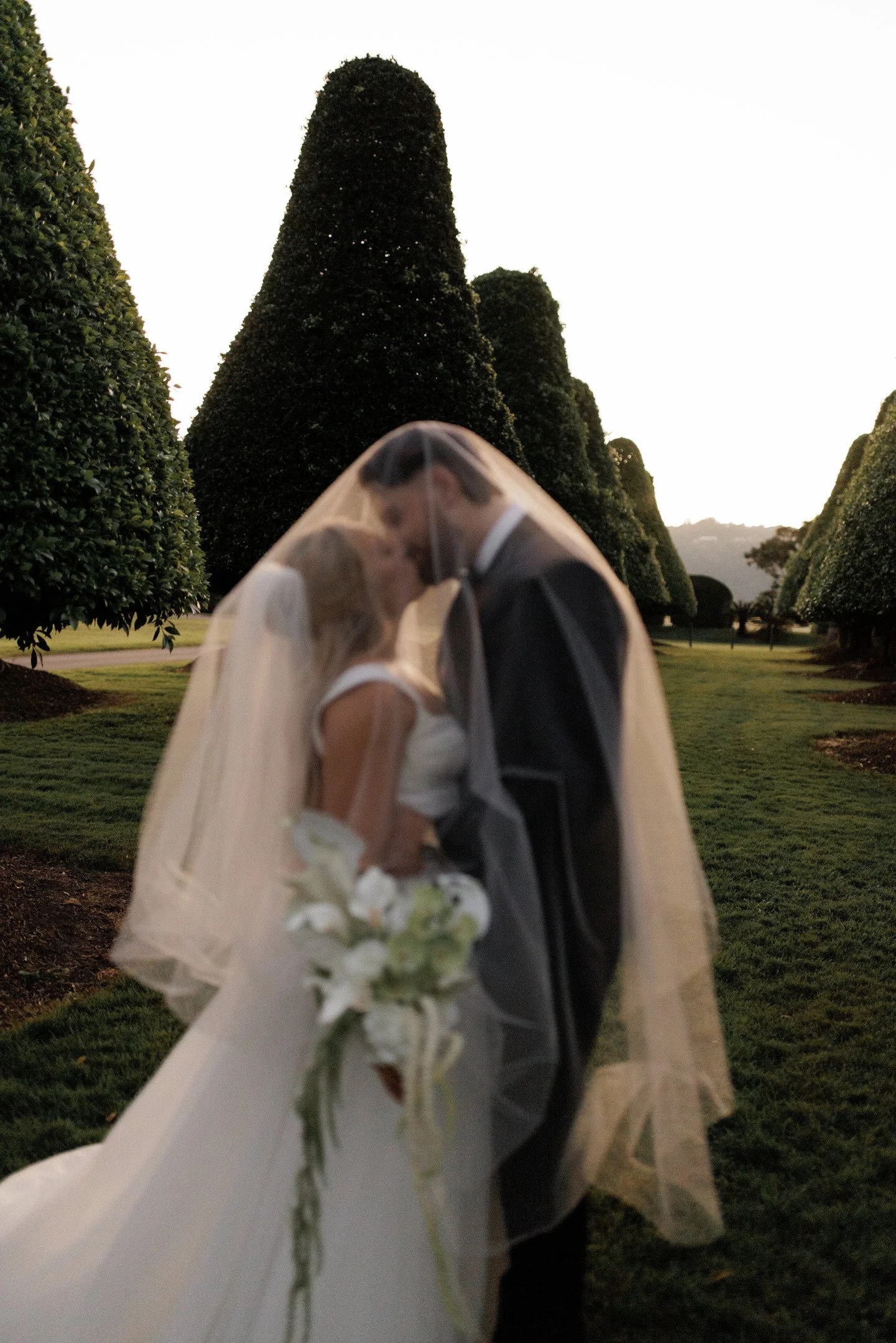 A bride and groom sharing a kiss under a transparent umbrella during an outdoor wedding, with tall, trimmed green trees and a distant mountain in the background at sunset.