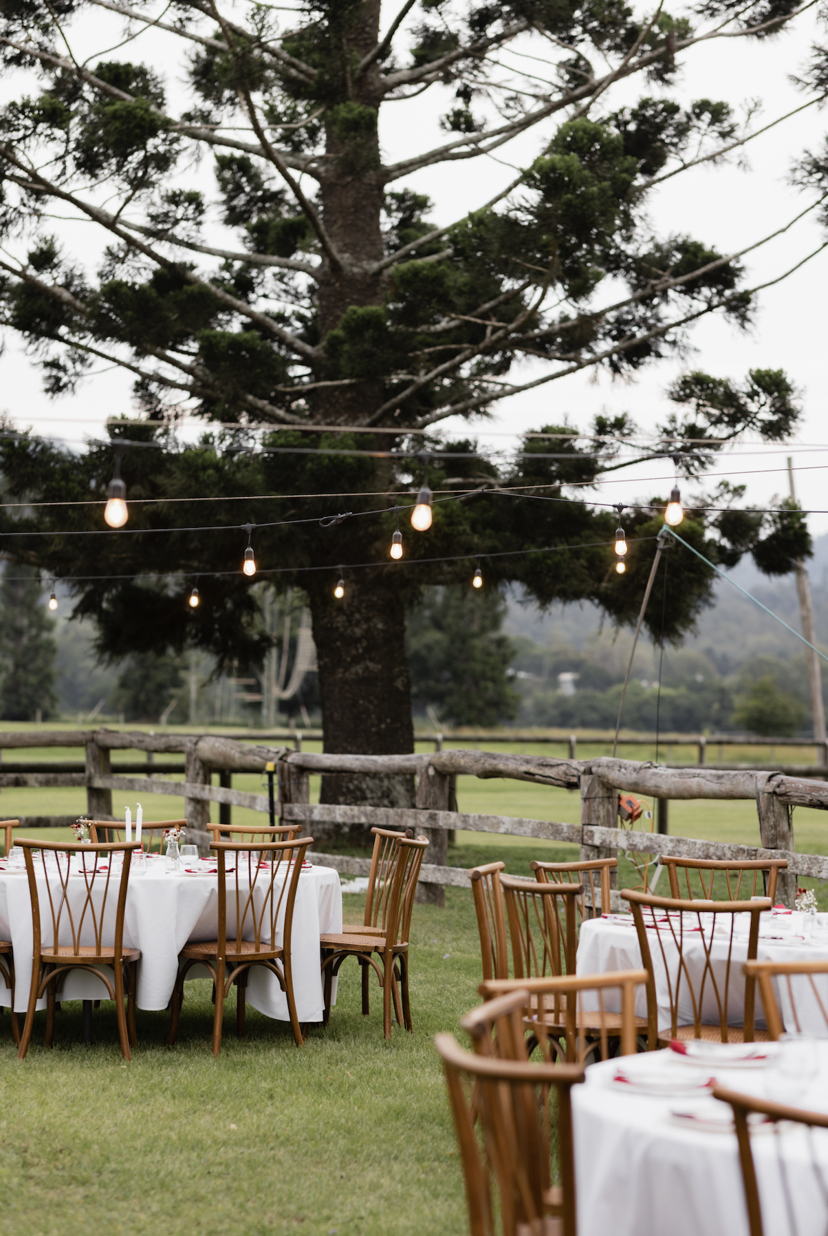 Outdoor event setup with round tables covered with white tablecloths and wooden chairs, string lights hanging from above, large tree in the background, rustic wooden fence, and a grassy field.