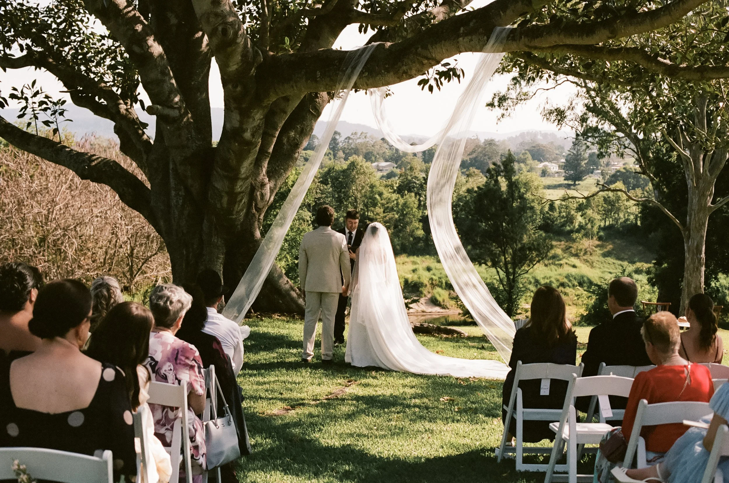 Outdoor wedding ceremony under a large tree with flowing fabric drapes, with an officiant and couple facing each other, surrounded by seated guests on a grassy field.