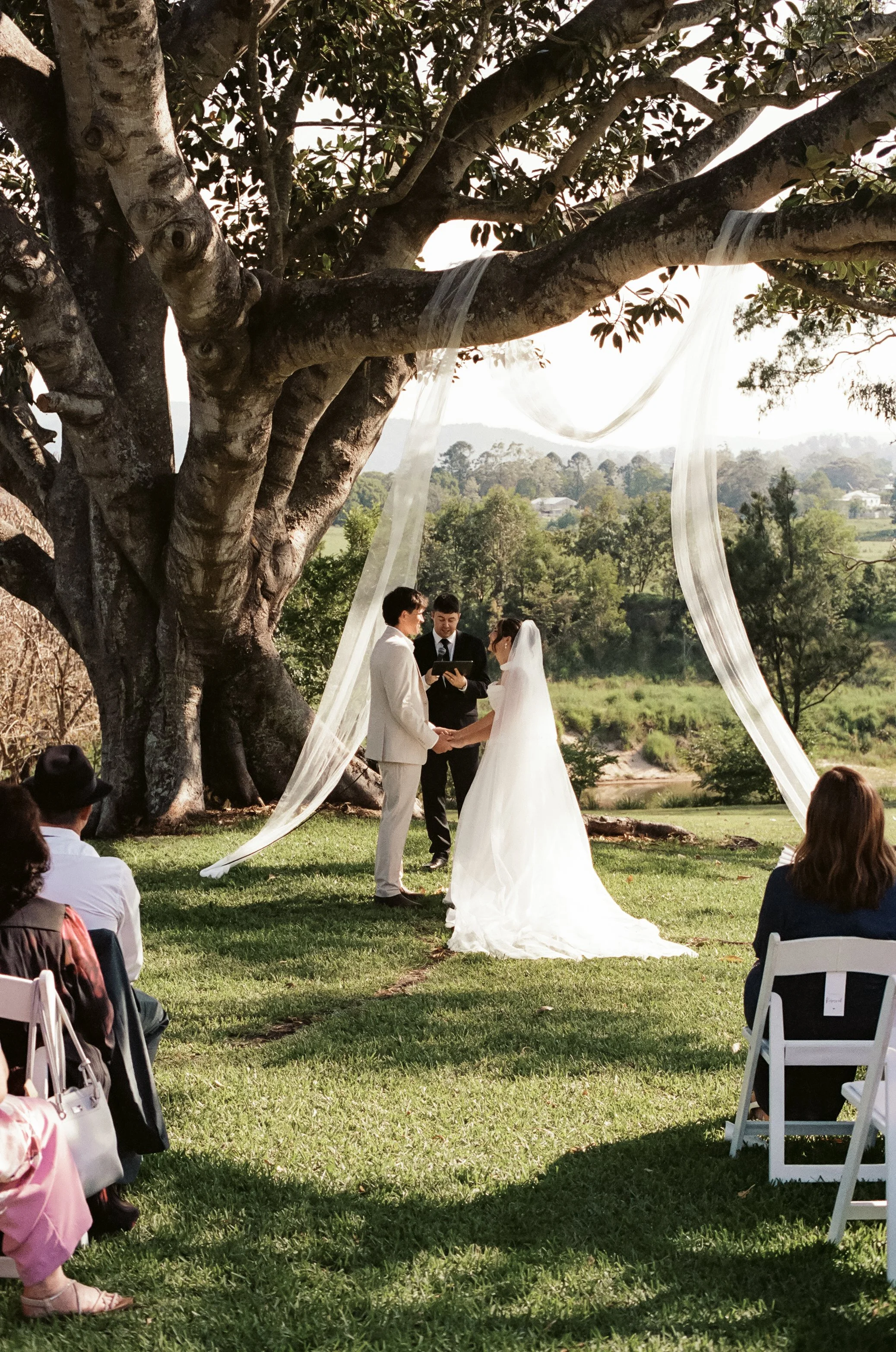 A wedding ceremony taking place outdoors under a large tree with flowing fabric decorations, with the bride and groom holding hands and facing each other, and an officiant standing between them. Guests are seated on white chairs and watching the cere