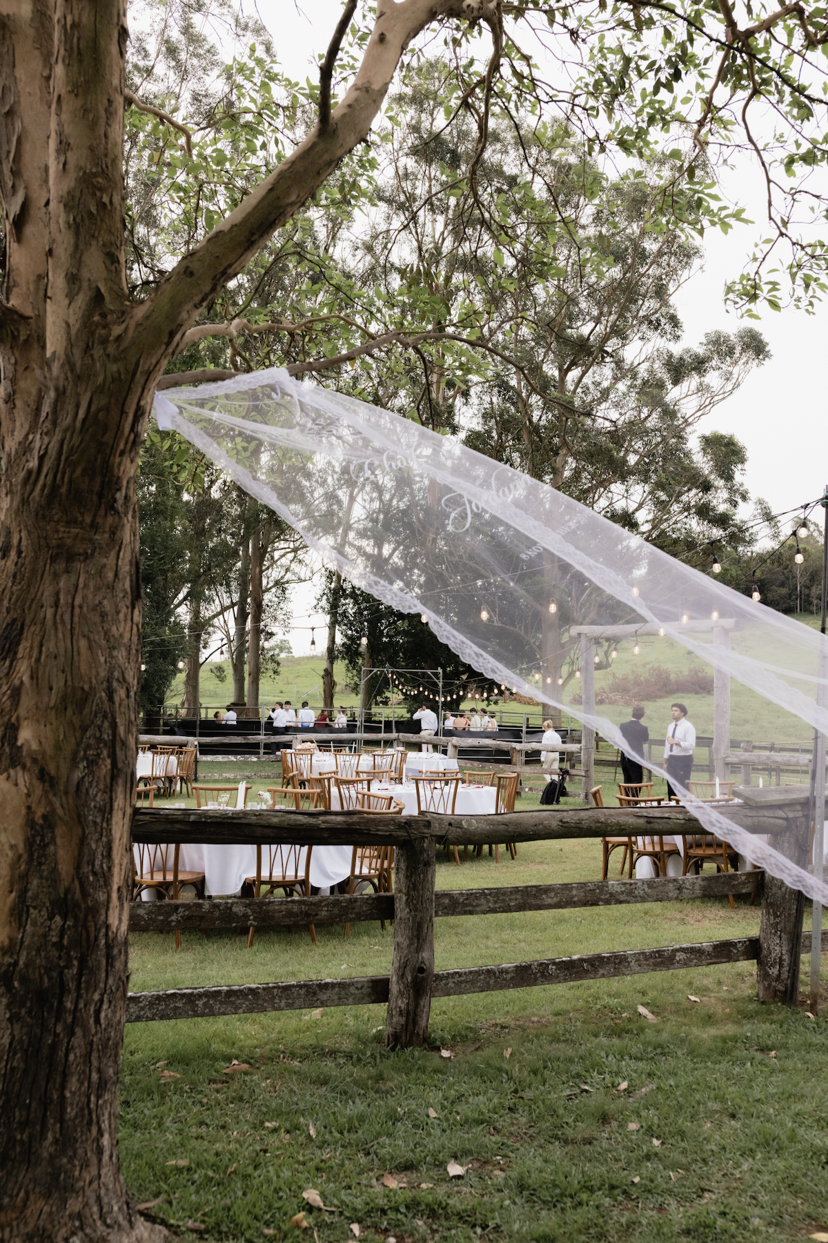 Outdoor event setup with tables and chairs, string lights, and a lace decoration hanging from a tree, with people gathering in the background.
