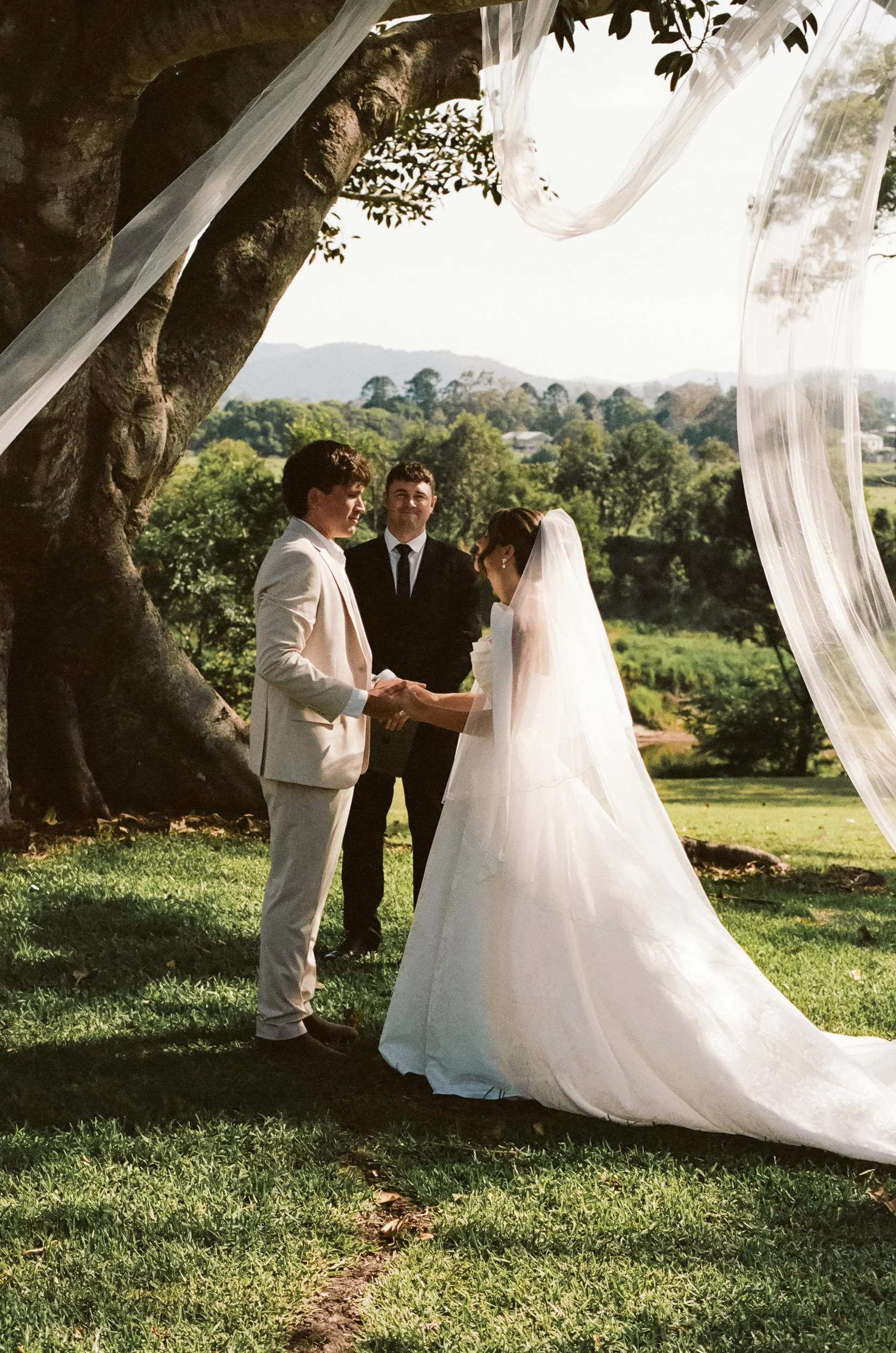 A wedding ceremony taking place outdoors beneath a large tree, with a bride and groom holding hands and exchanging vows, officiant standing behind them, and scenic green landscape with mountains in the background.