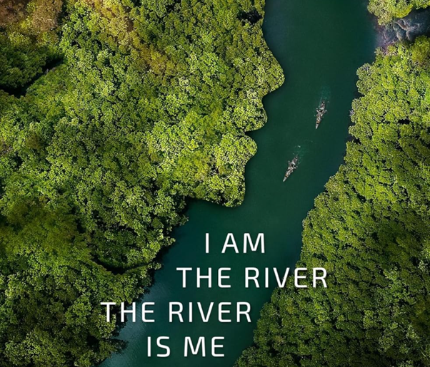 I Am the River, The River Is Me Screening Sparks Debate on Rights for the River Kent