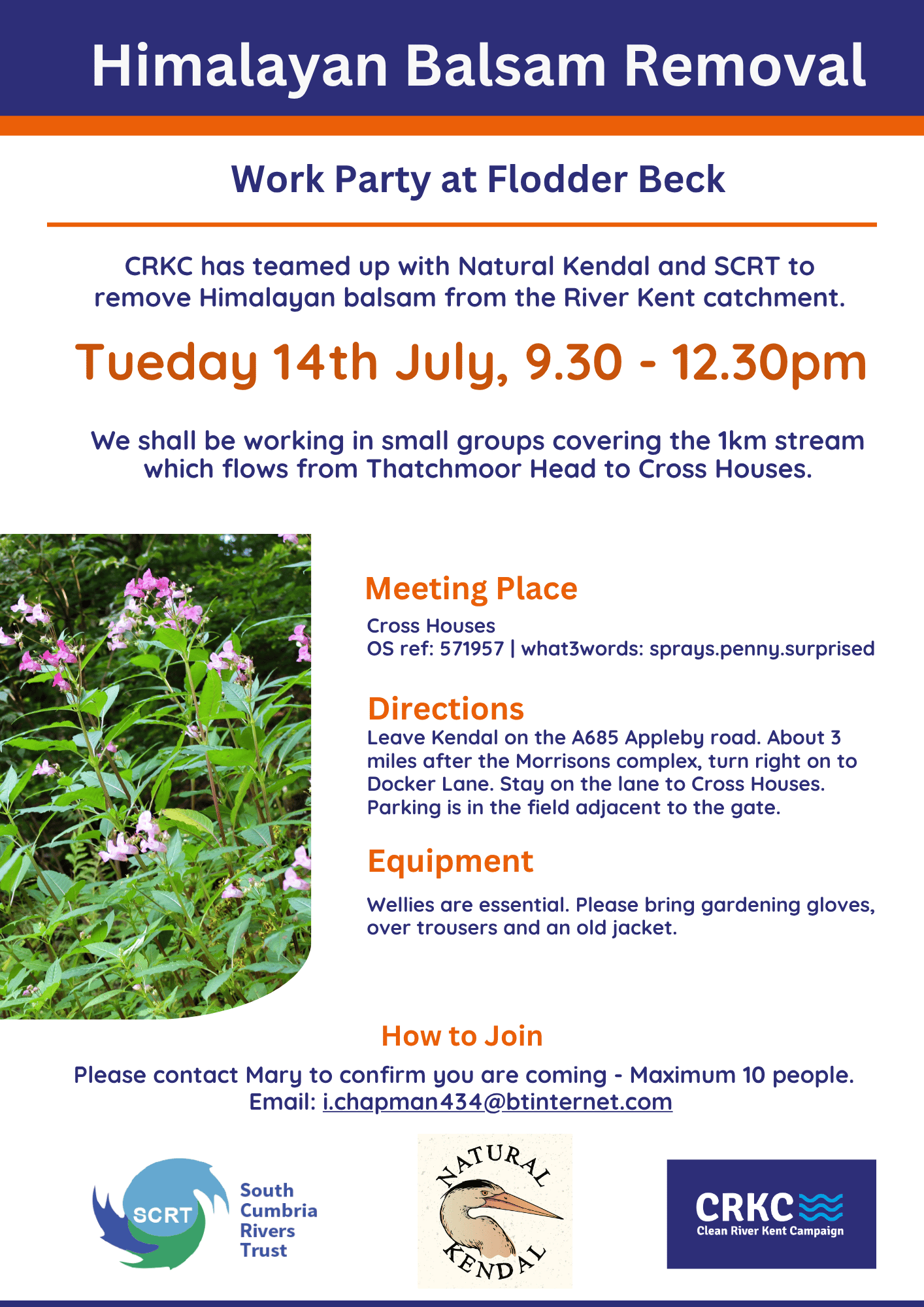 River Kent Catchment - Himalayan Balsam Removal maximum of 10 people.
