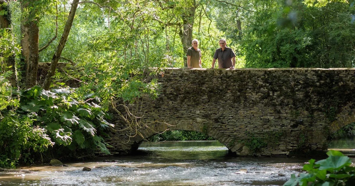 CRKC Urges Riverside Residents: Please Don't Use the River Kent as a Garden Waste Bin