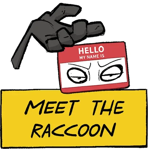 Meet the raccoon - about section