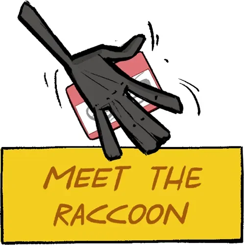 Meet the raccoon - about section