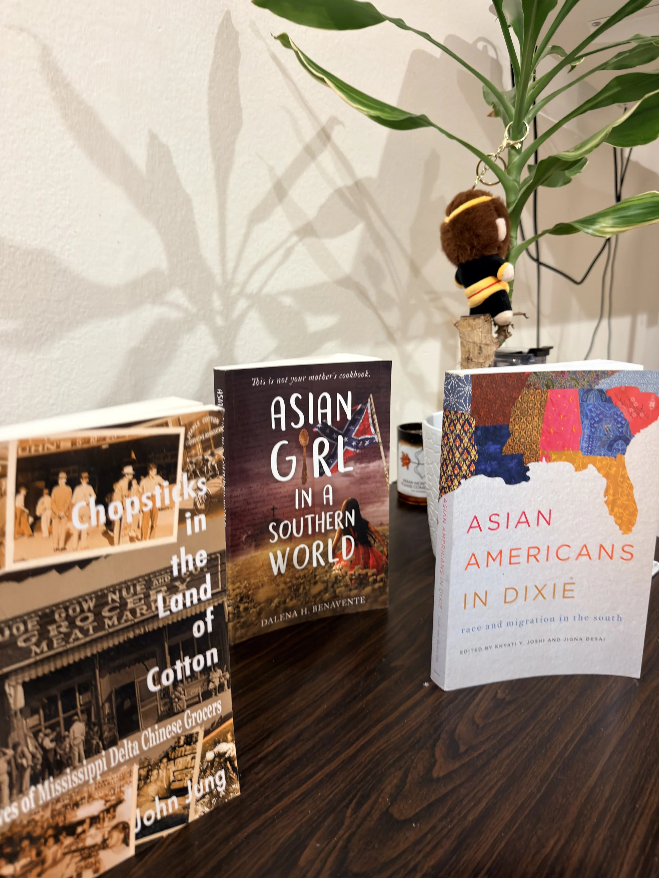 Asians in the South book collection
