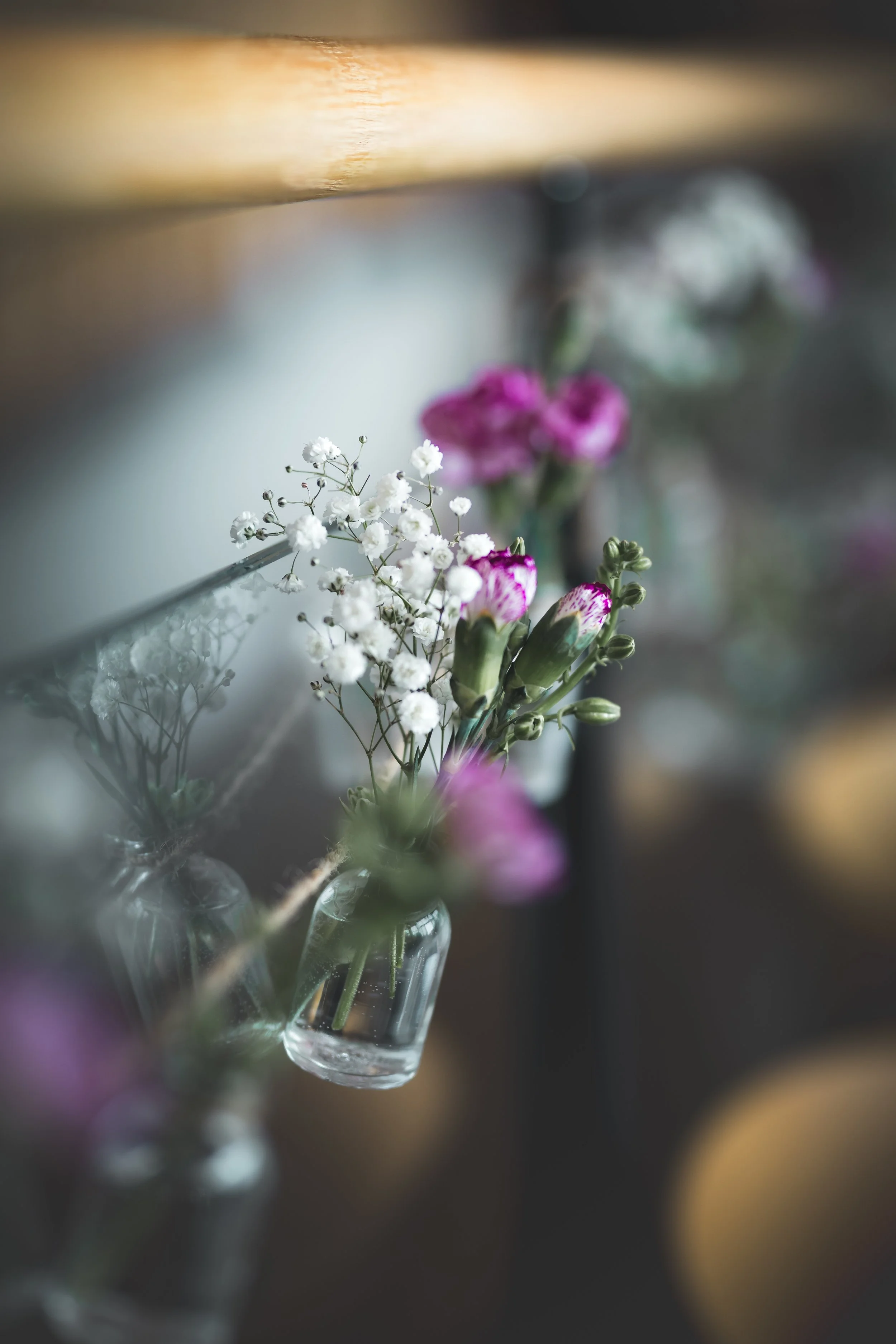 _A7A9260.jpg