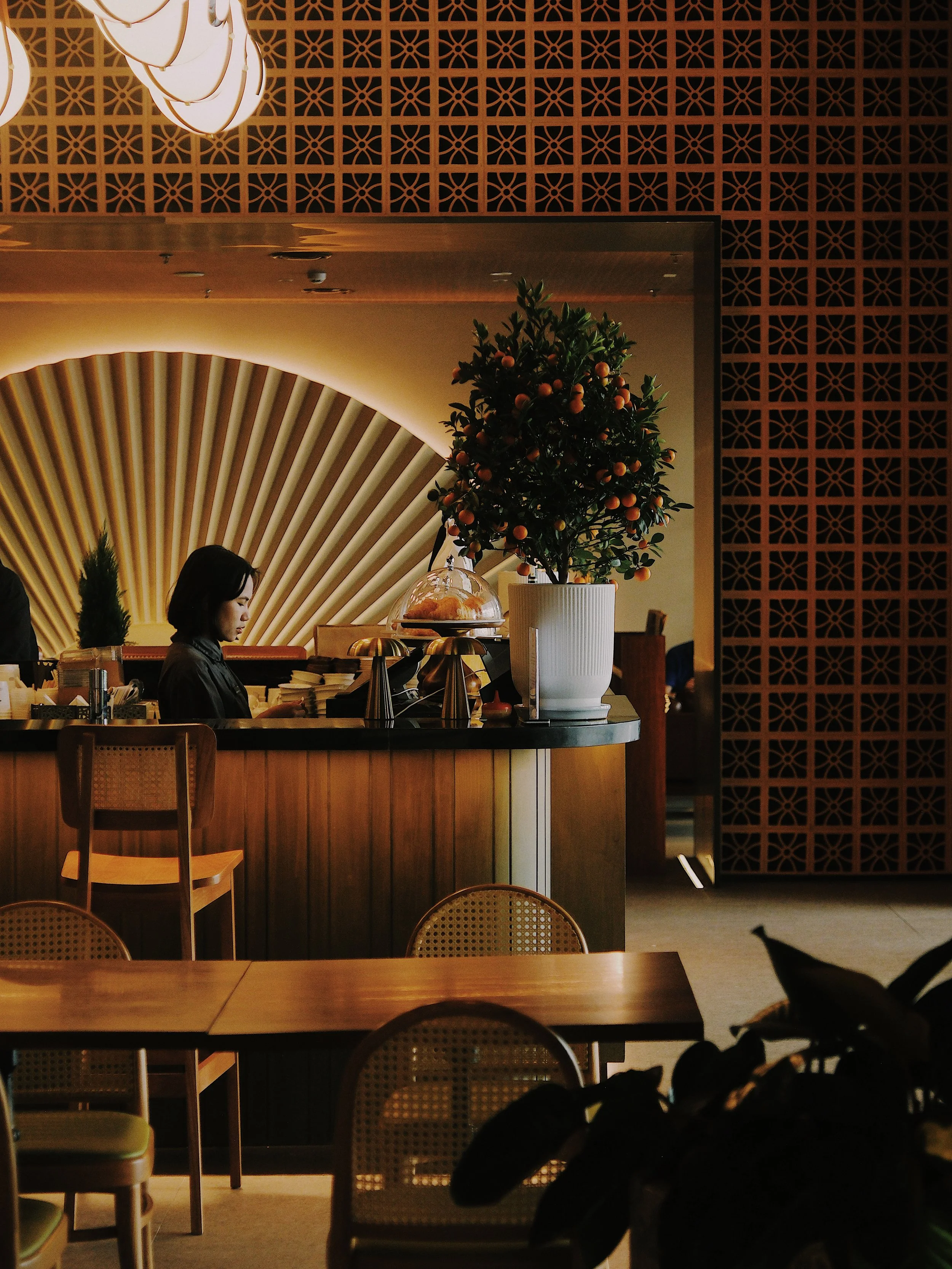 FD8093A5-FF49-48A5-ACDF-32DB429FC841 2.JPG