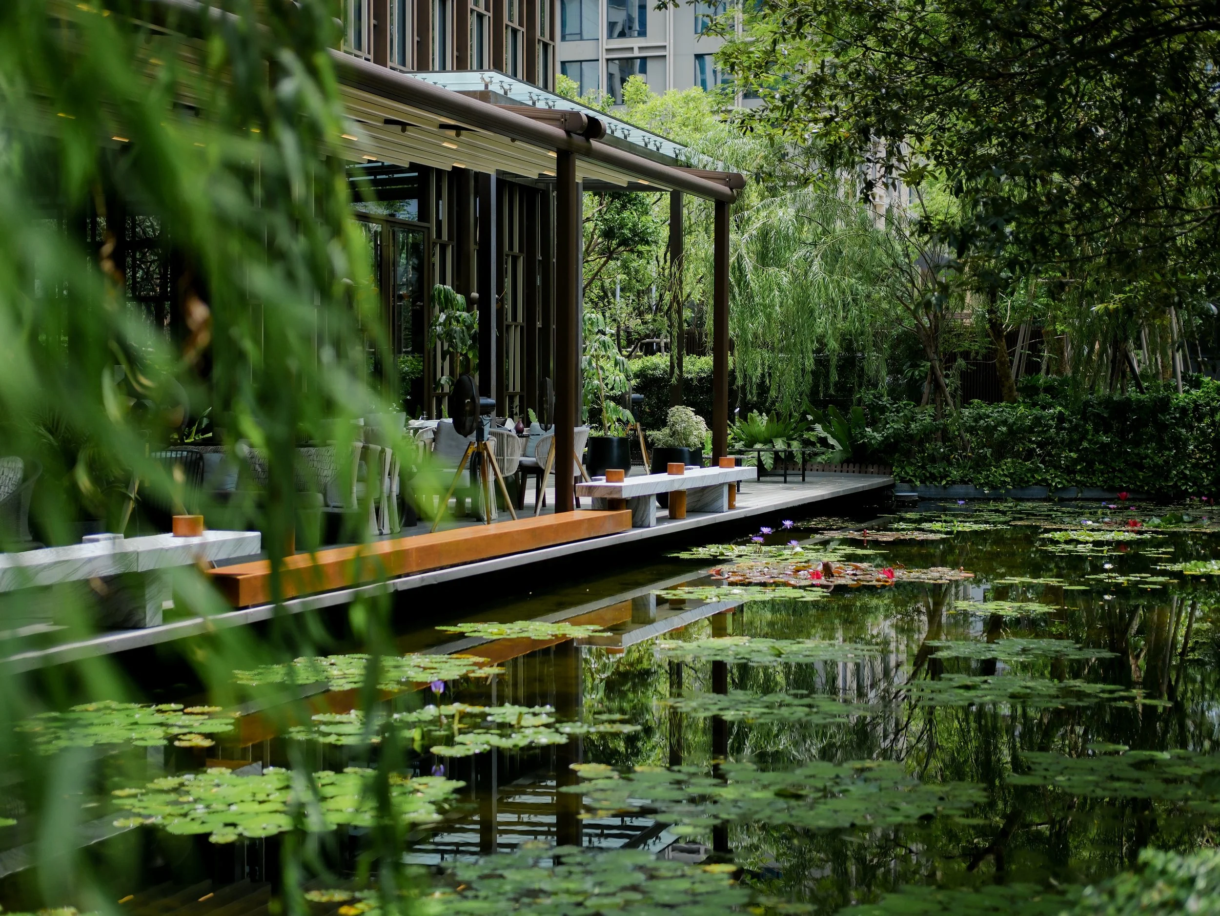 Kimpton Maa Lai Bangkok lily pond restaurant viewed through weeping willow foliage — luxury hotel photography by Dillon Atsiil, Bangkok 2026