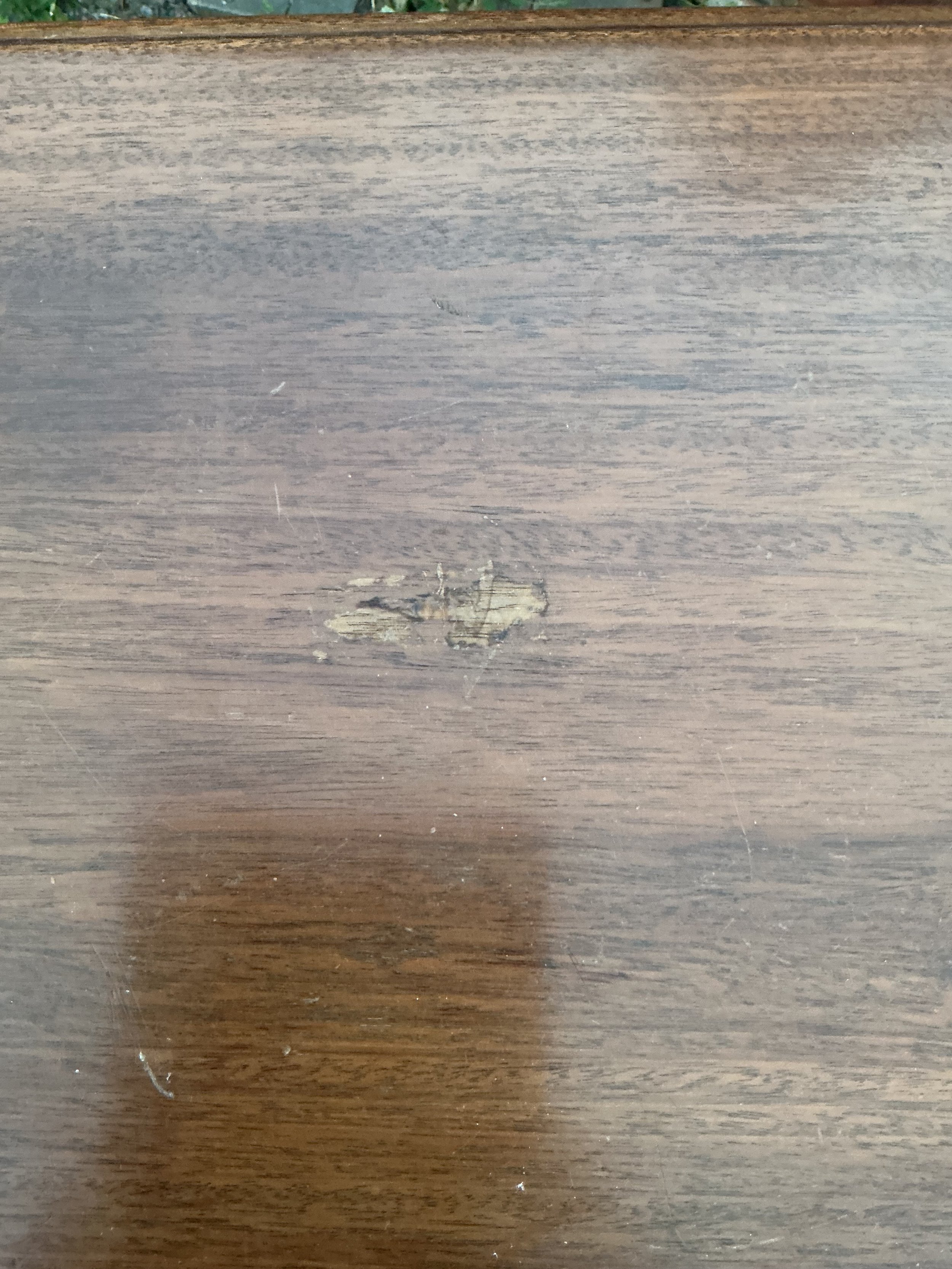 IMG_0969.jpeg