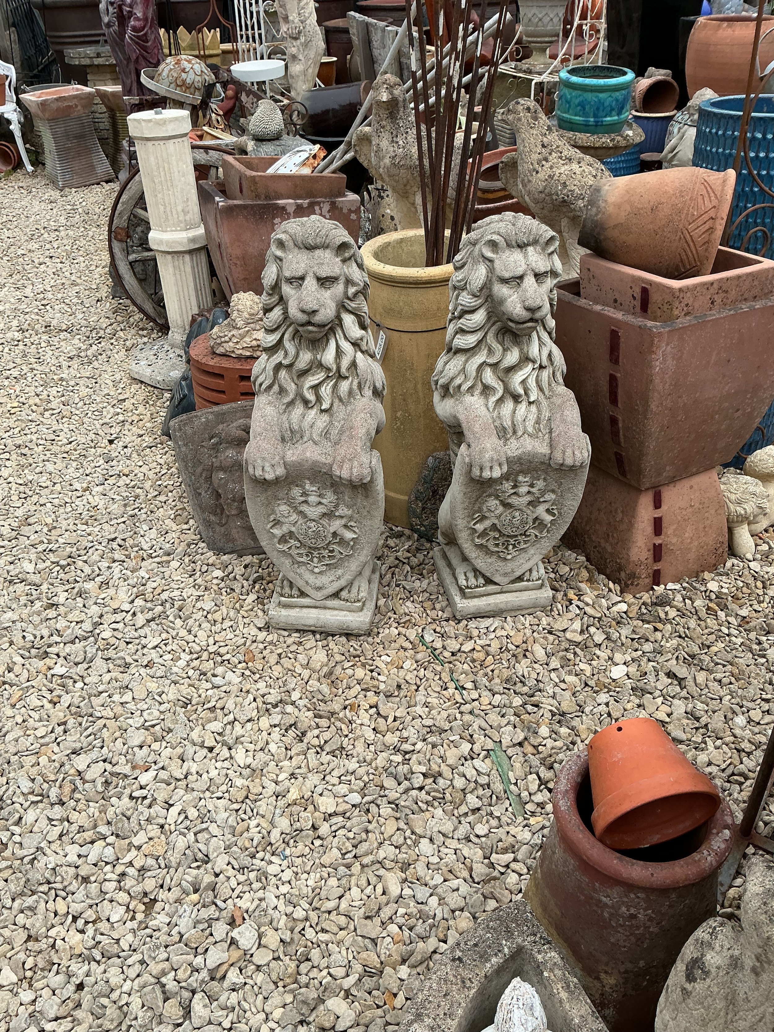 IMG_0713.jpeg