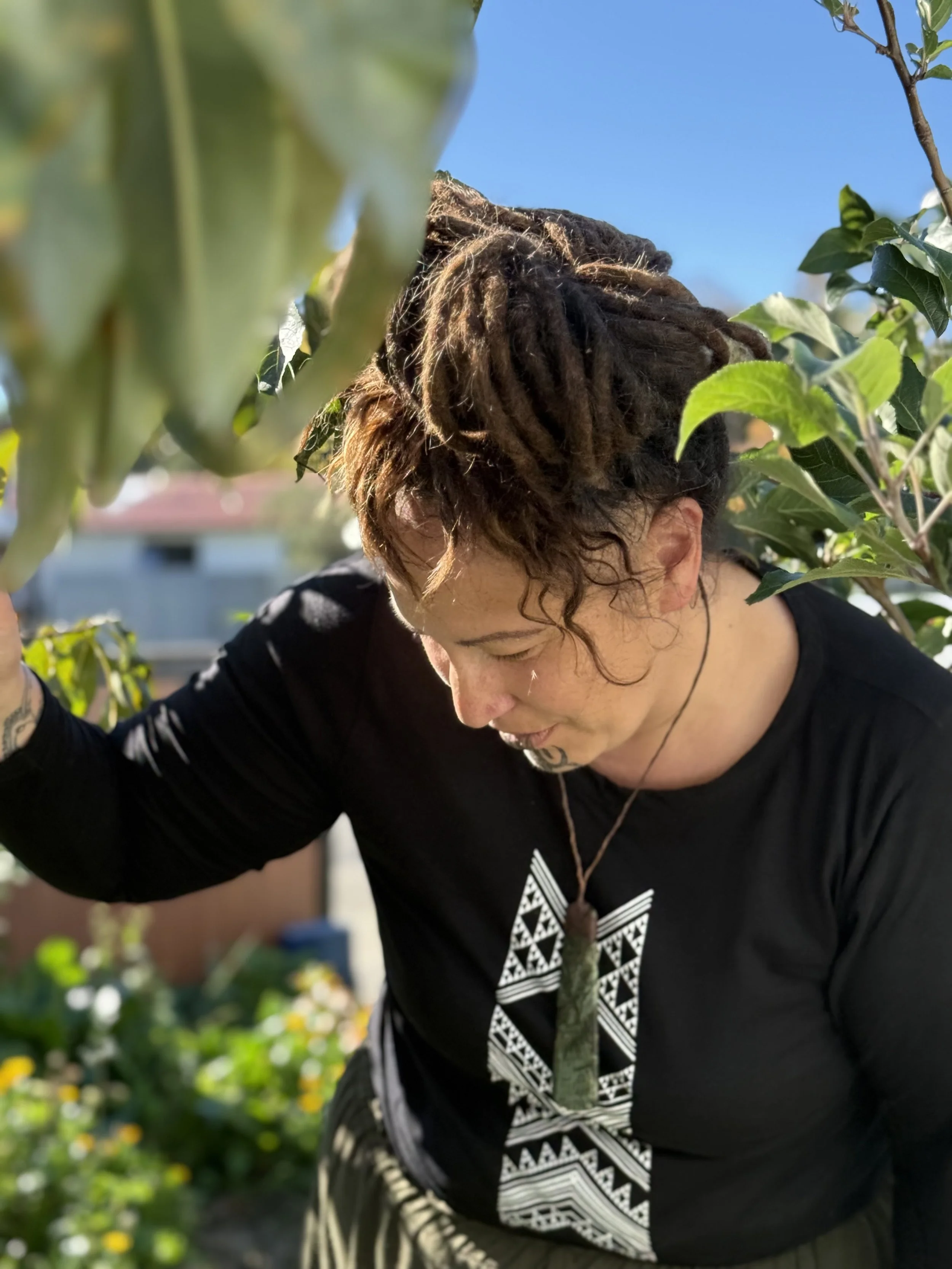 Kaumātua consultation