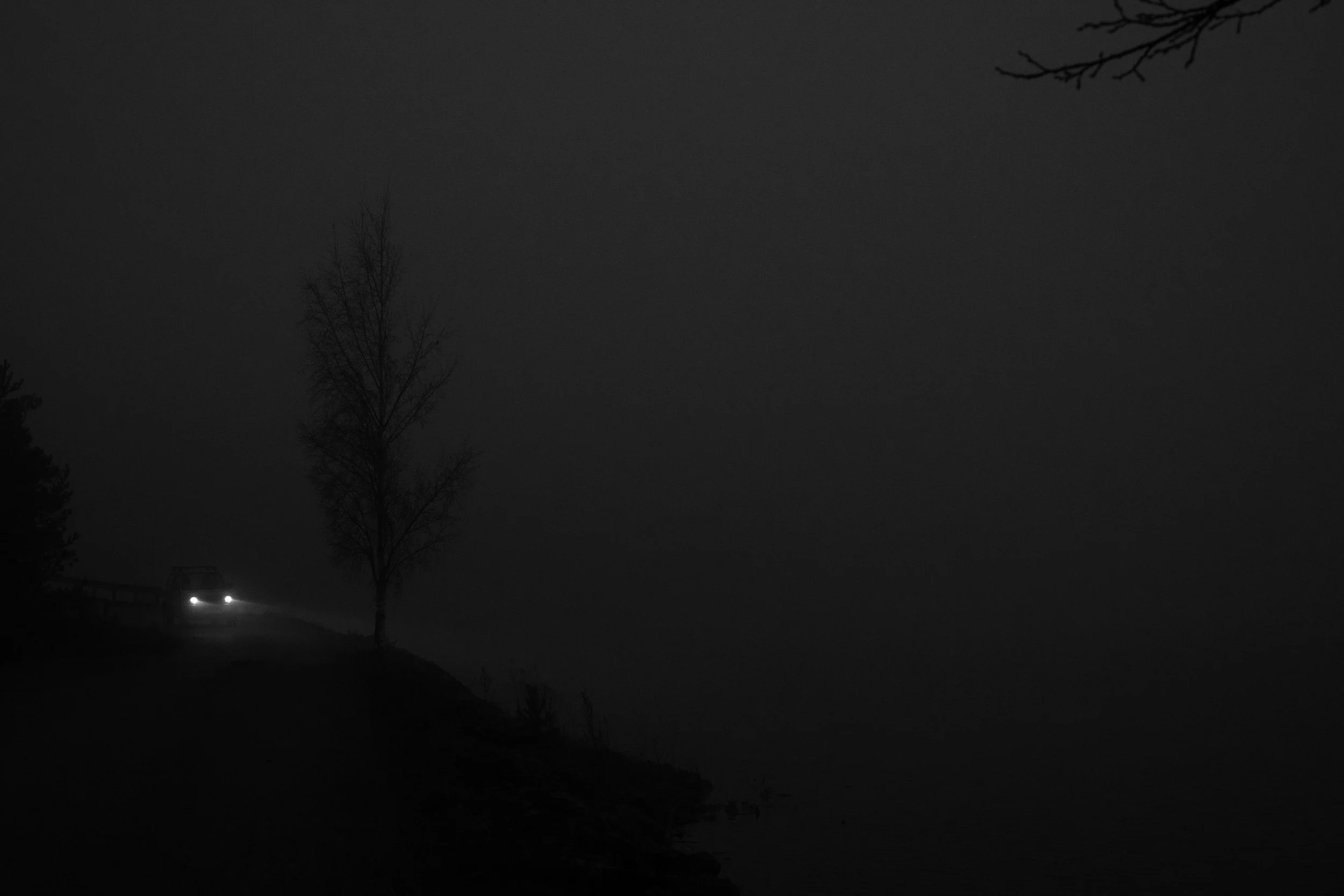 Nighttime scene with a car driving on a dark, foggy road near a body of water, with two leafless trees and faintly visible branches.