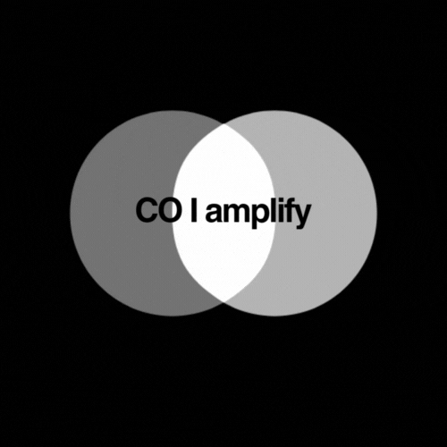 Venn diagram with two overlapping circles labeled 'CO' and 'I', with the overlap containing the words 'amplify'