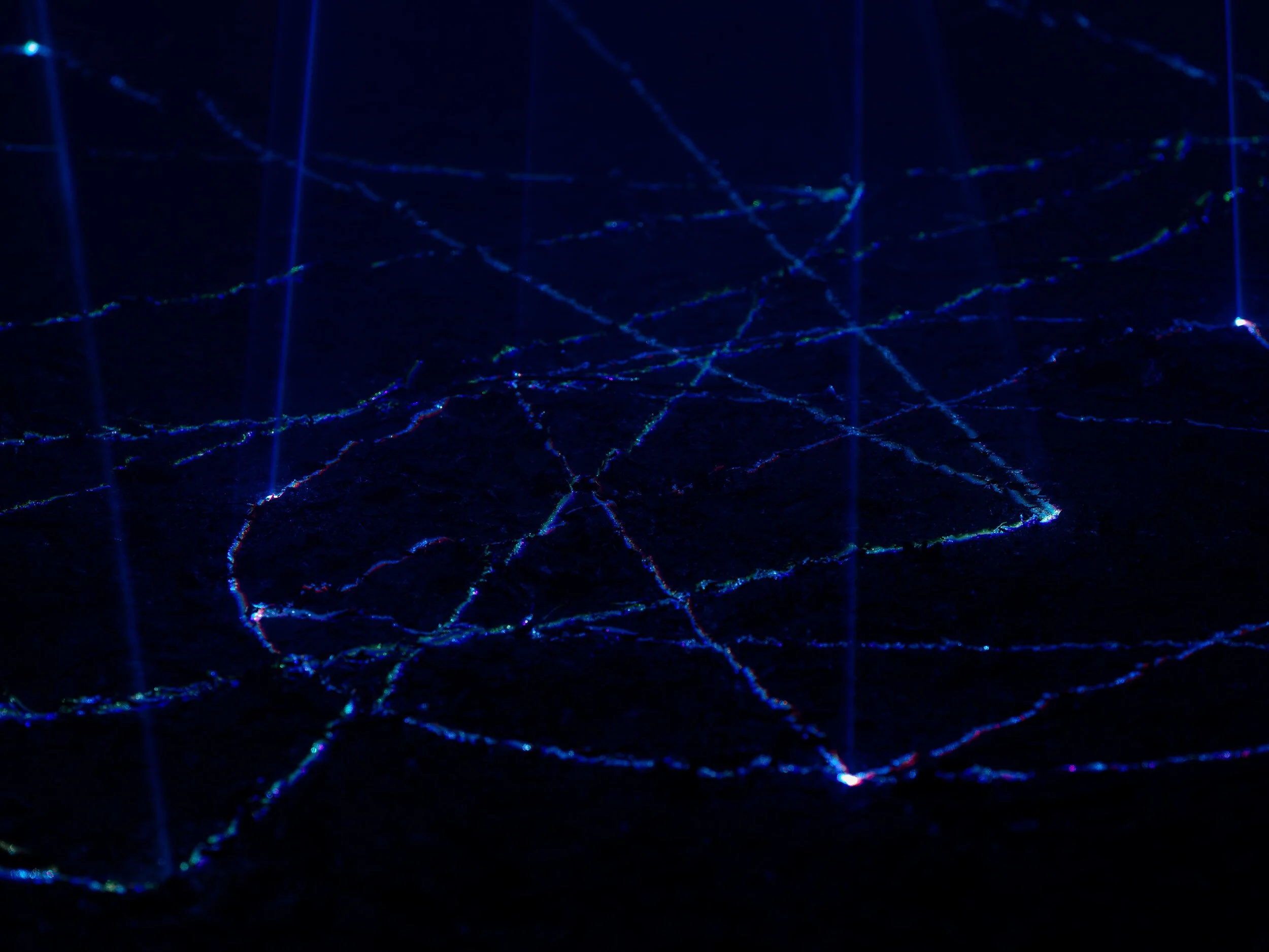 Cathedral of Ego: Light, Code, and Transcendence  MAXIME PLESCIA-BÜSCHI AND BJØRN STAAL  x COLLECTIVE OSLO Close-up of a spider web illuminated with blue light in darkness.