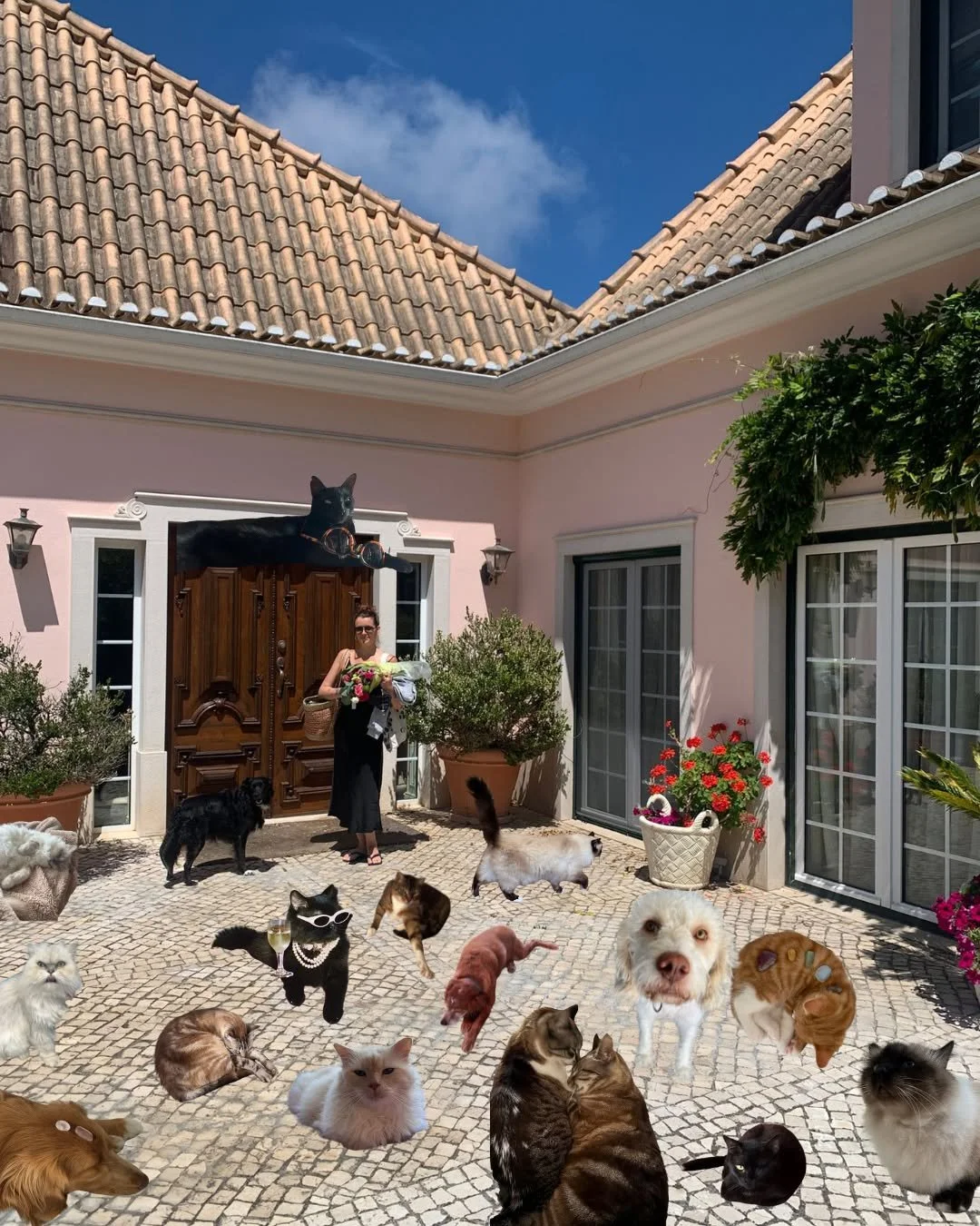 Meet anniandthepets - where my heart lives when I'm not facilitating business magic. 🐾✨

In 2021, the same year I launched my freelance journey, I started documenting something equally important: my life with the most incredible creature companions.
