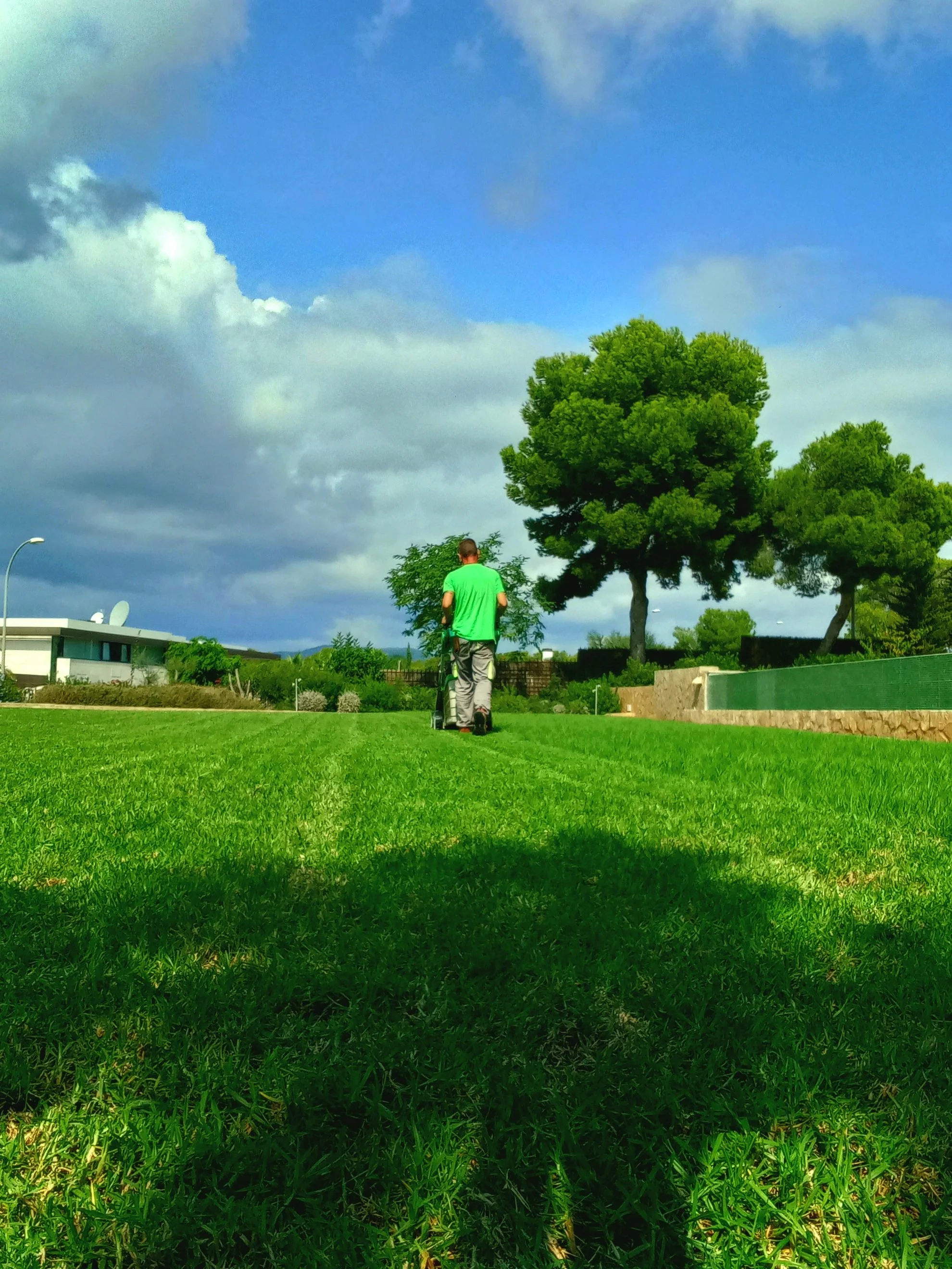 Persona barriendo el césped en un parque bajo un cielo nublado.