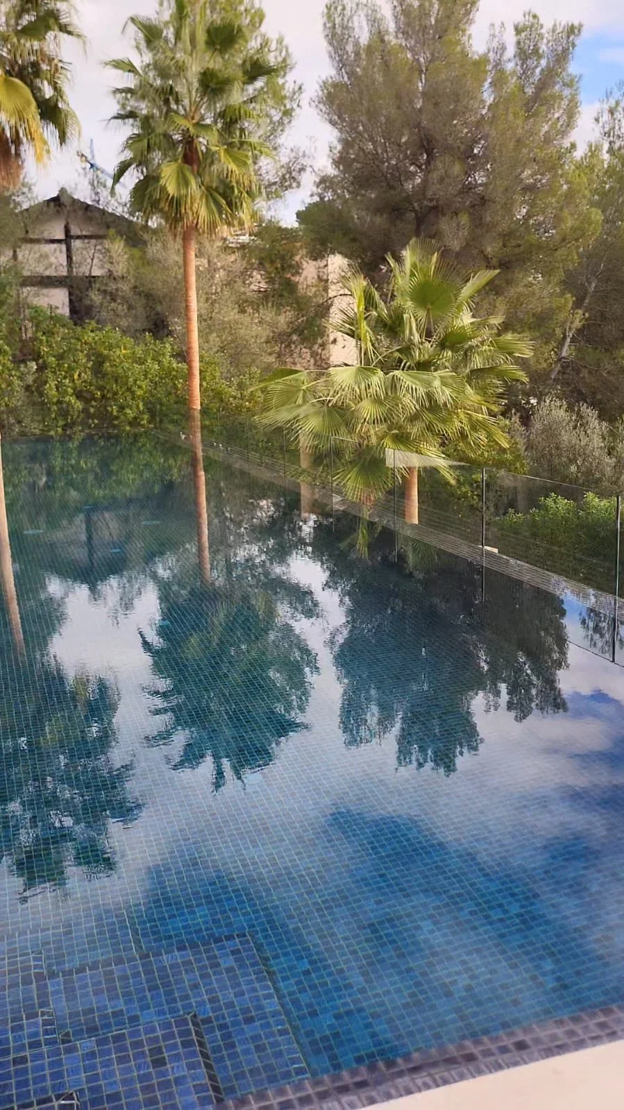 Piscina con reflejo de árboles y palmeras, rodeada de vegetación, en un ambiente tropical o subtropical.