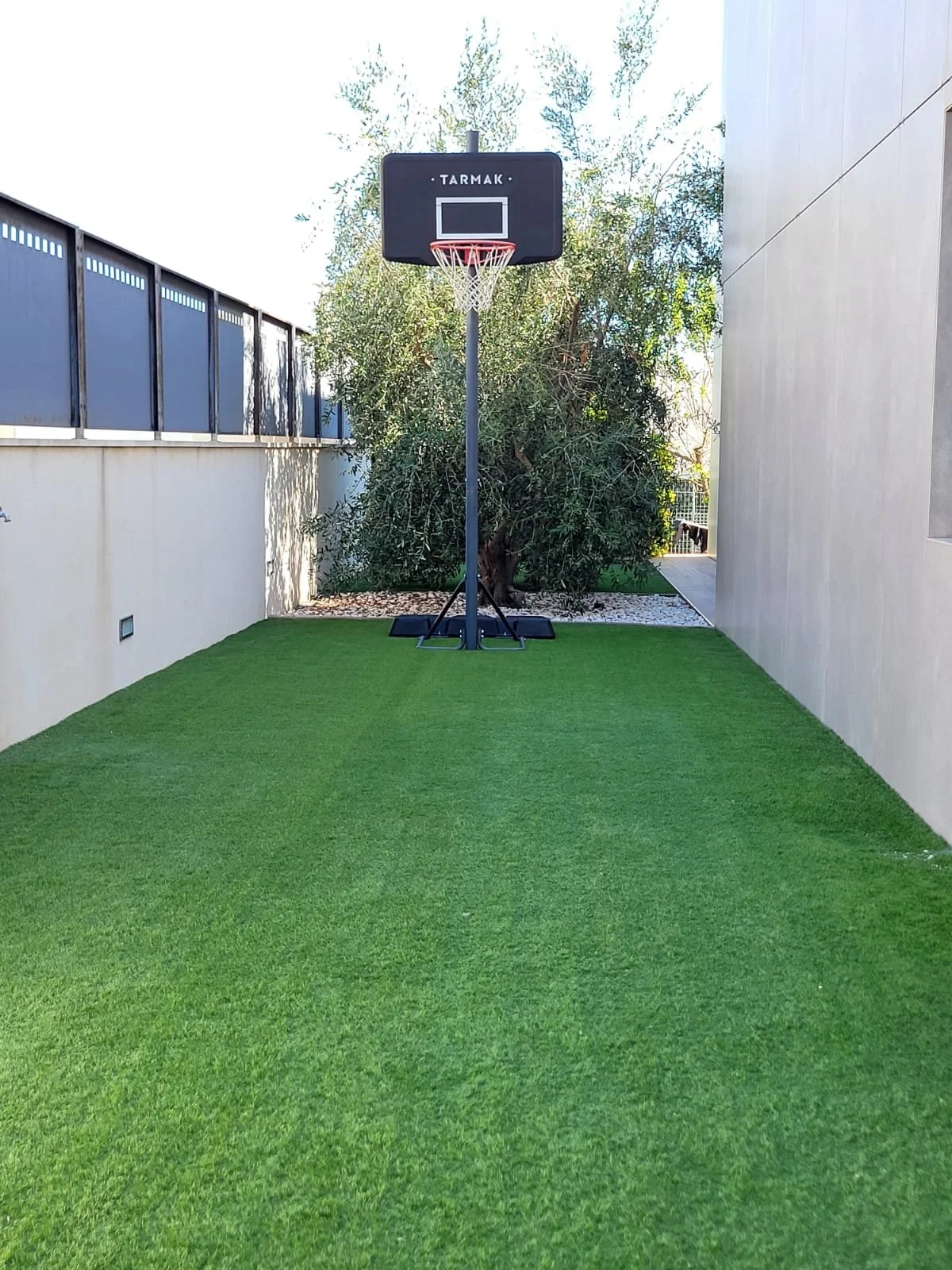 Imagen de WhatsApp 2025-11-24 a las 01.03.17_277b3c01.jpg