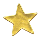 Gold star badge