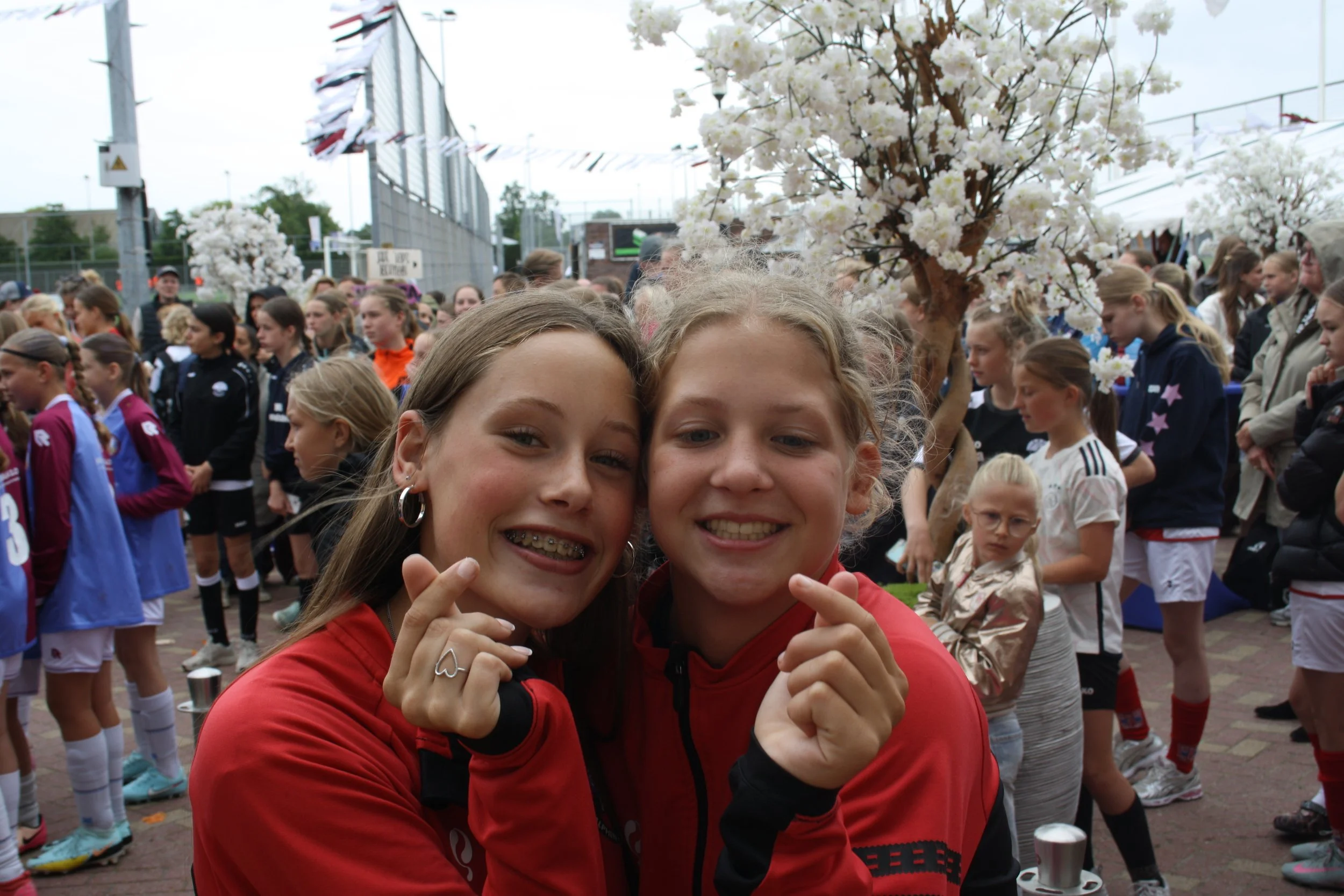IMG_0689_20260606_151007.JPG
