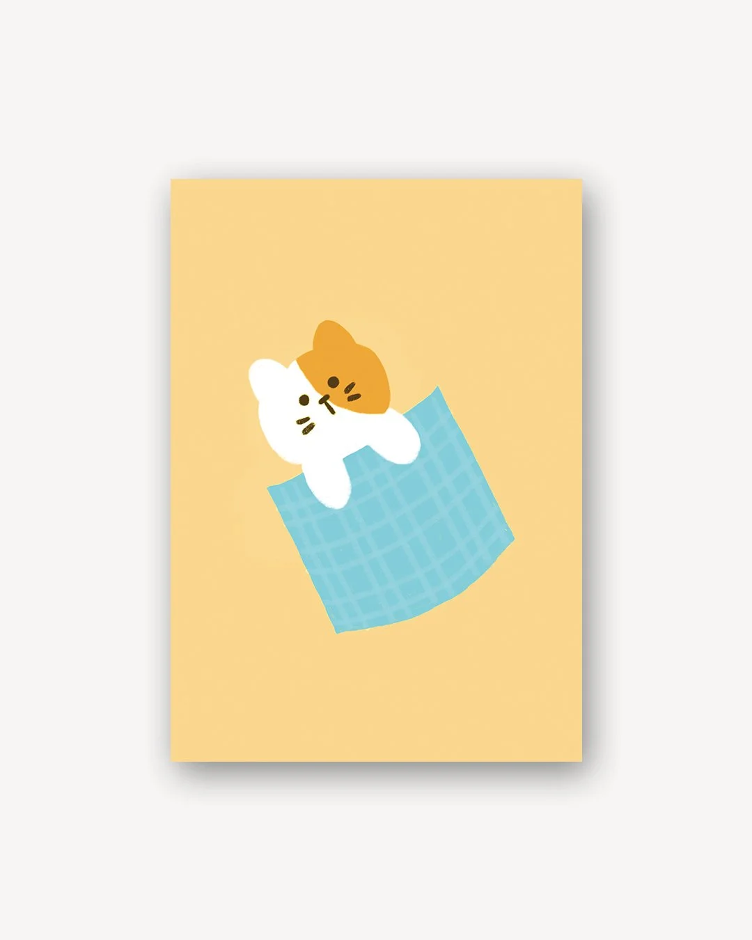 CATTO SLEEPING WITH BLANKET.jpg