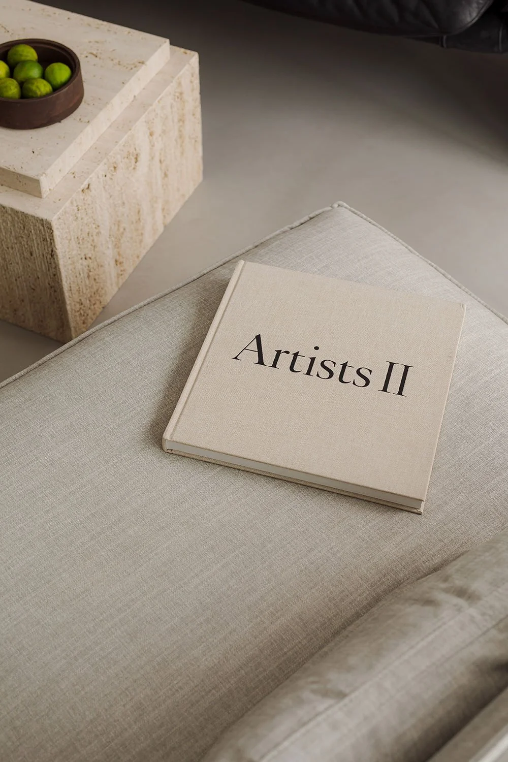 design book resting on couch