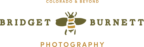 photography business logo
