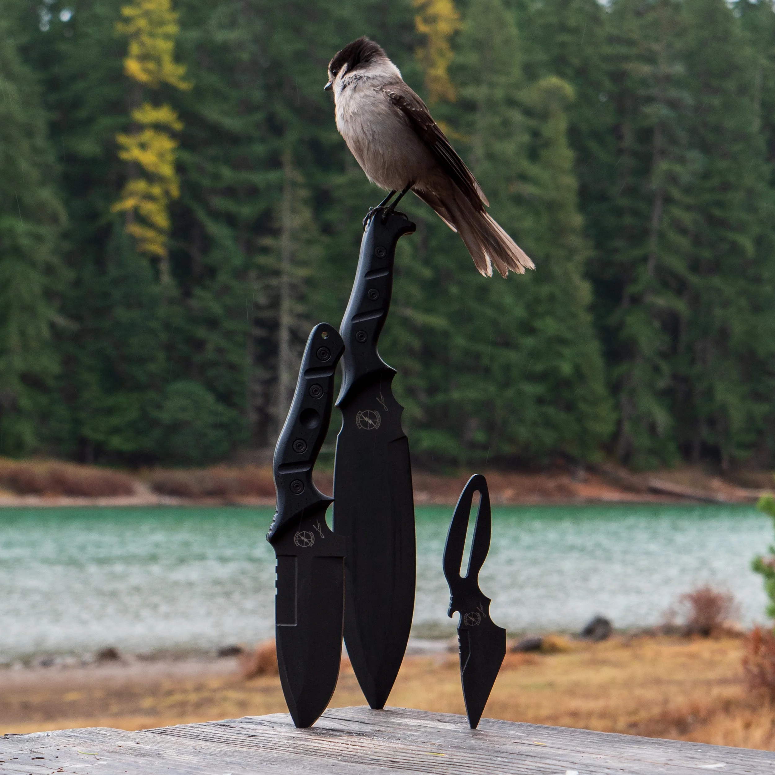 Outdoor-Trio-lake-bird.jpg
