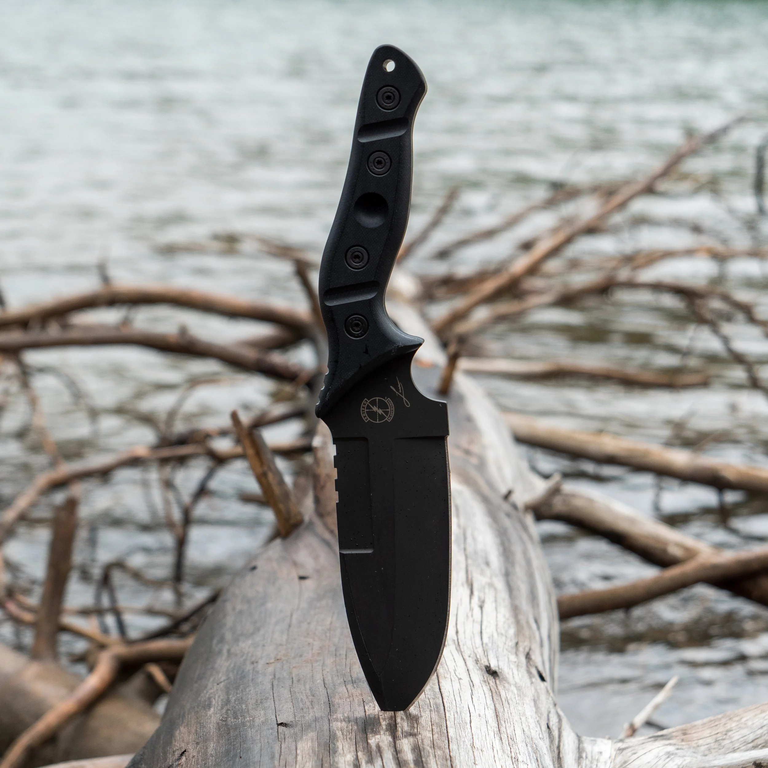 MAMU-lake-log.jpg
