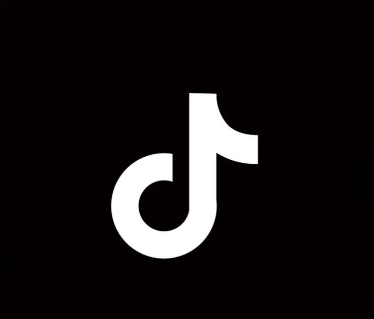 TikTok logo with white musical note on black background.