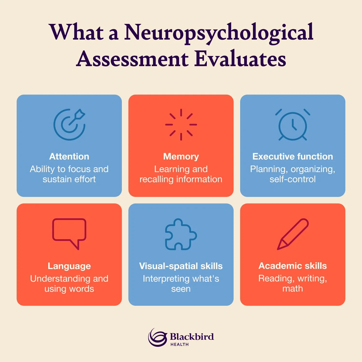 Infographic showing the 6 traits evaluated in a neuropsychological assessment.