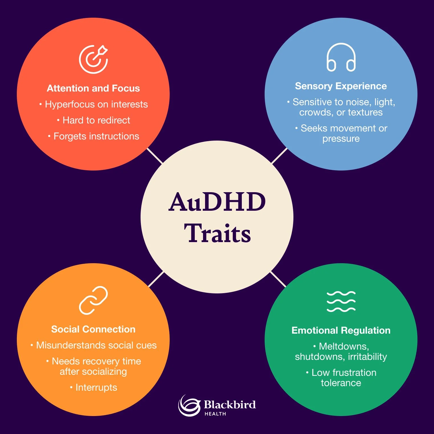 AuDHD traits organized into attention and focus, sensory experience, social connection and emotional regulation