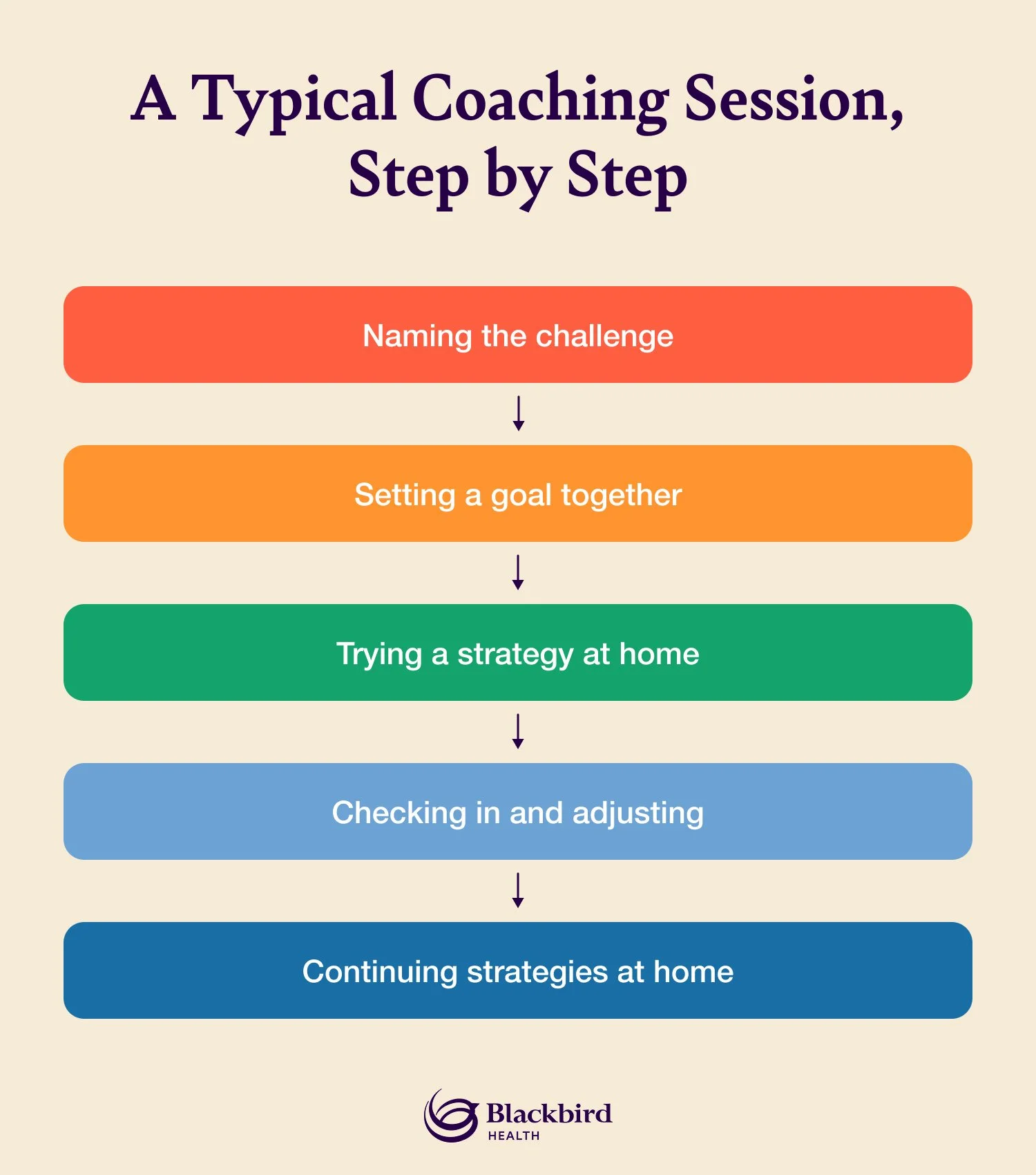 Infographic listing the steps in a typical coaching session.