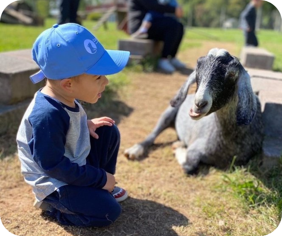 Helping Friendly Farm