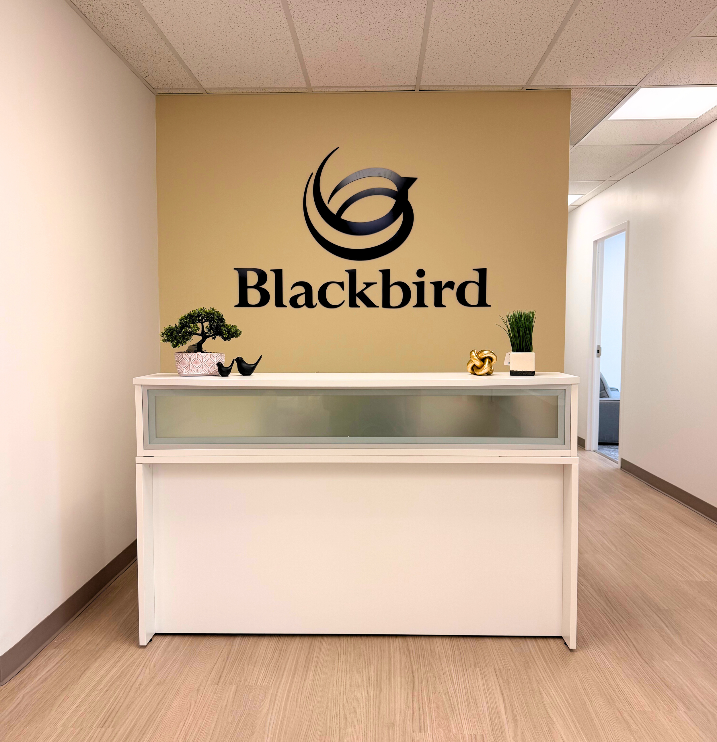 White receptionists desk at the Blackbird Health Media, PA clinic. Clean and tidy.